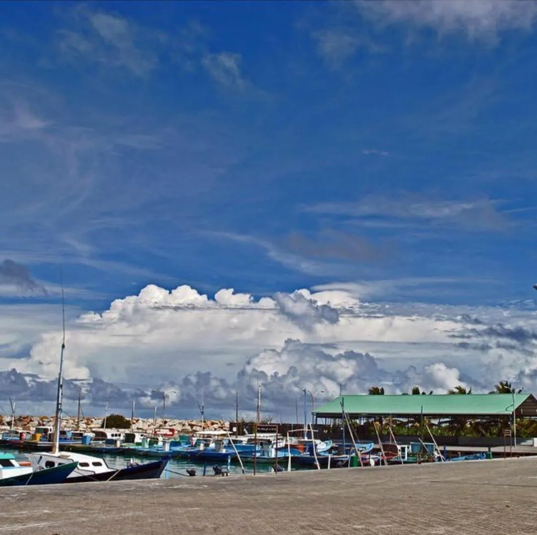 Beach in Tiger Shark Residence & Dive