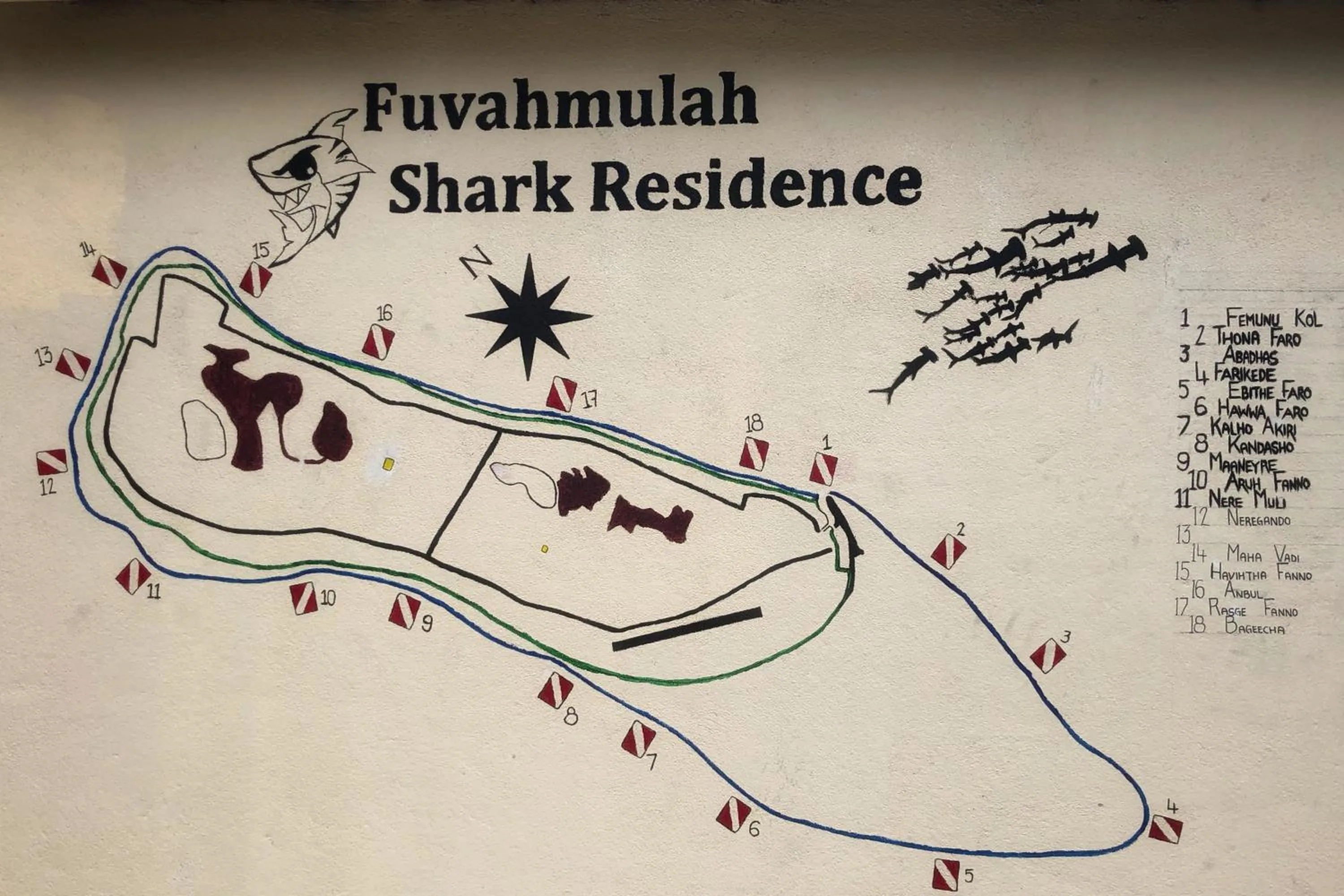 Diving in Tiger Shark Residence & Dive