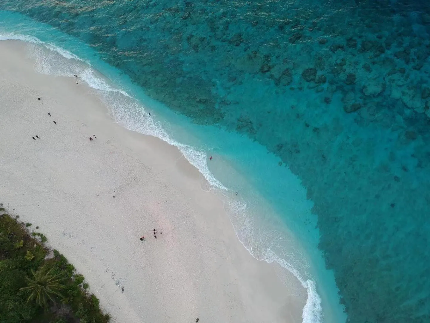 Bird's eye view in Tiger Shark Residence & Dive