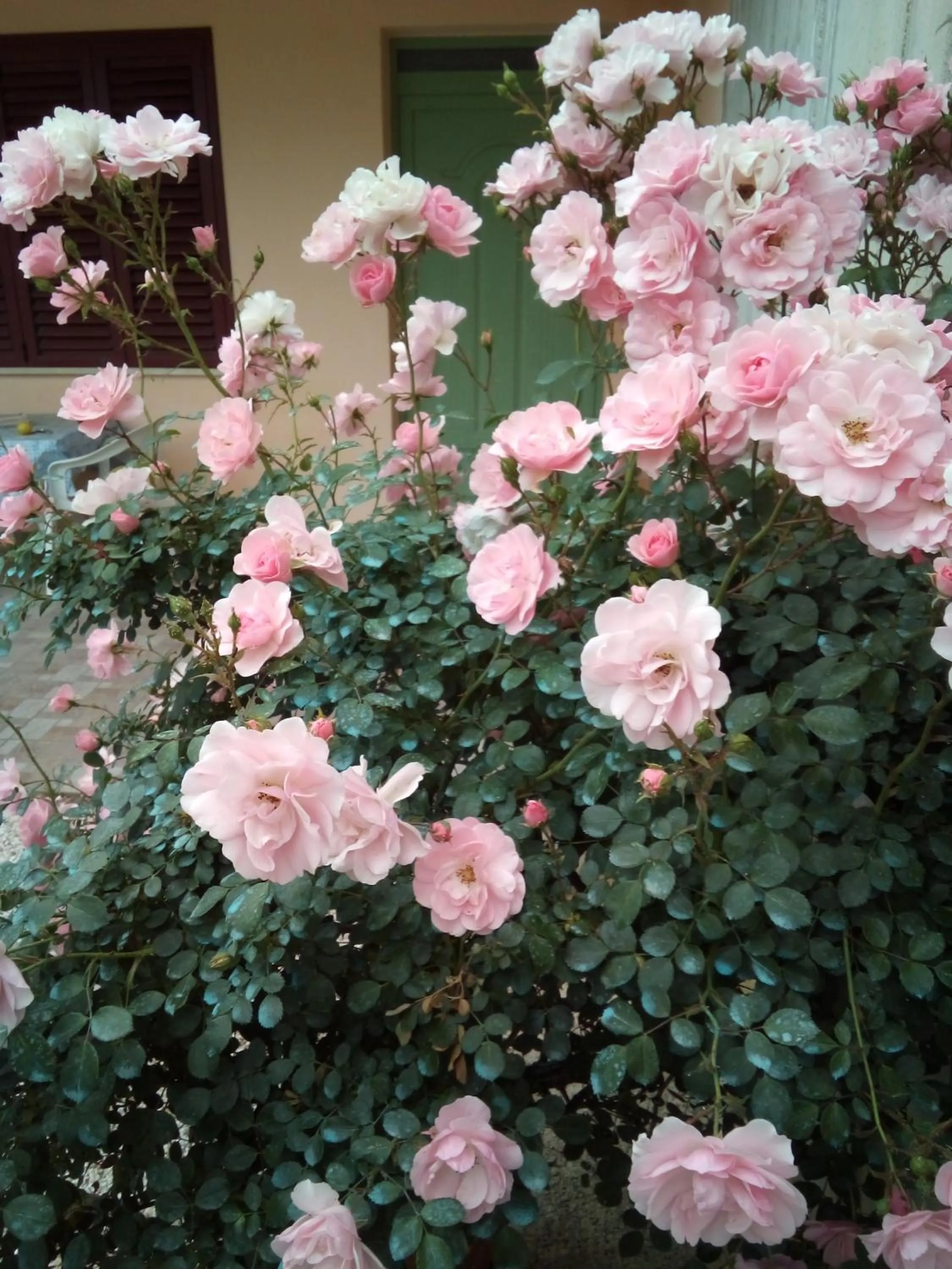 Facade/entrance in B&B Severini