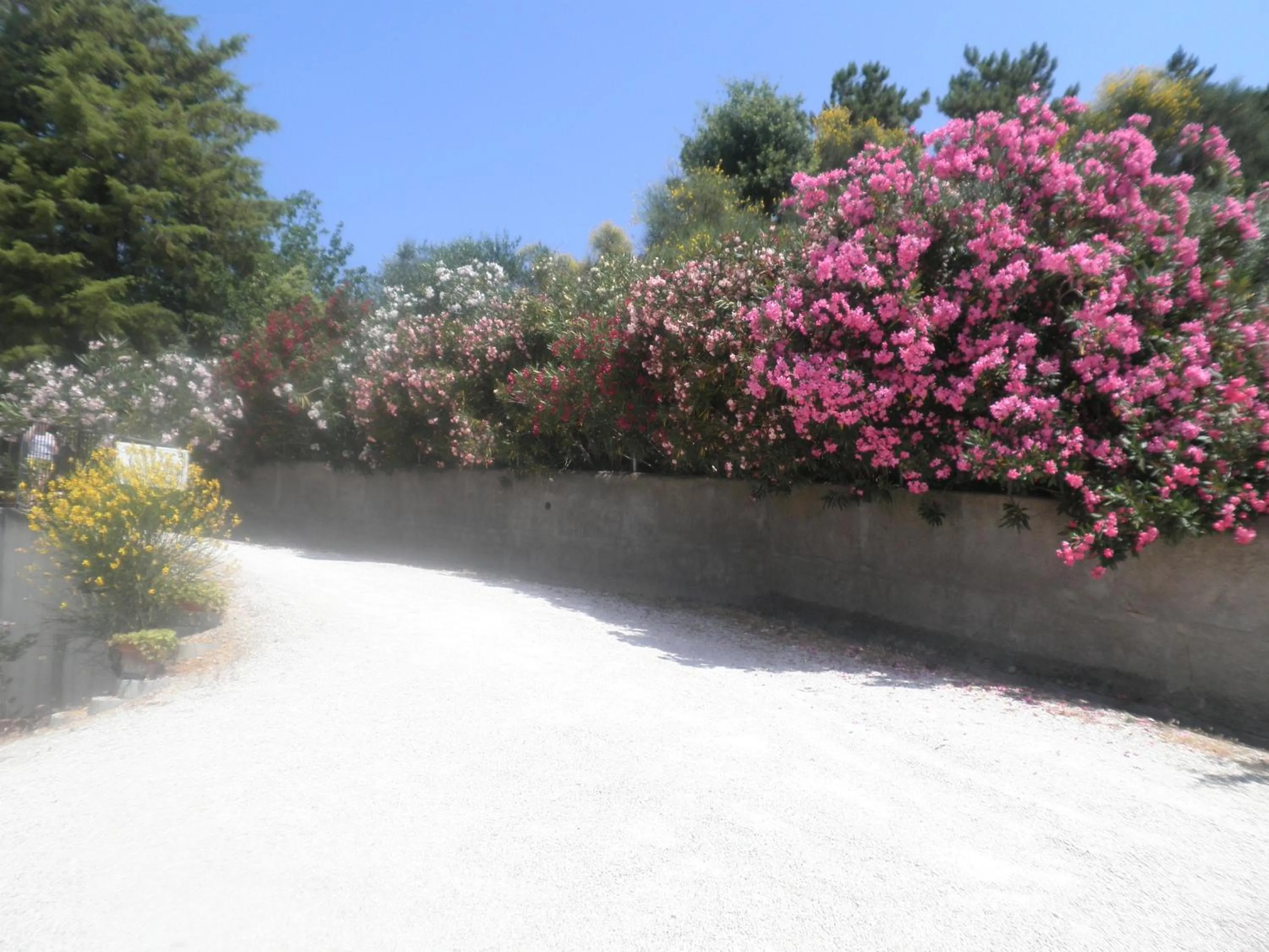 Street view in B&B Severini