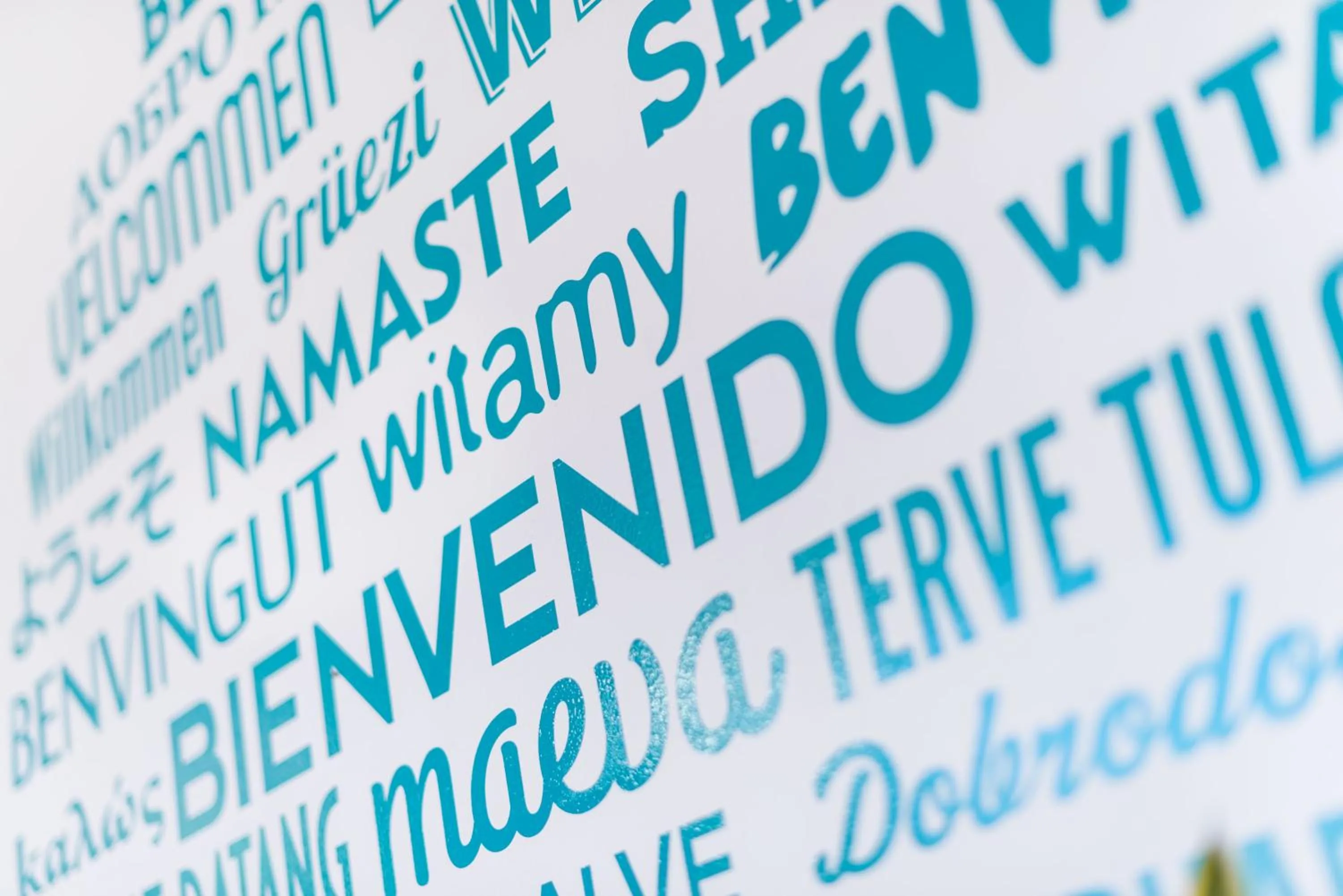 Text overlay in TAKE SURF Hostel Conil