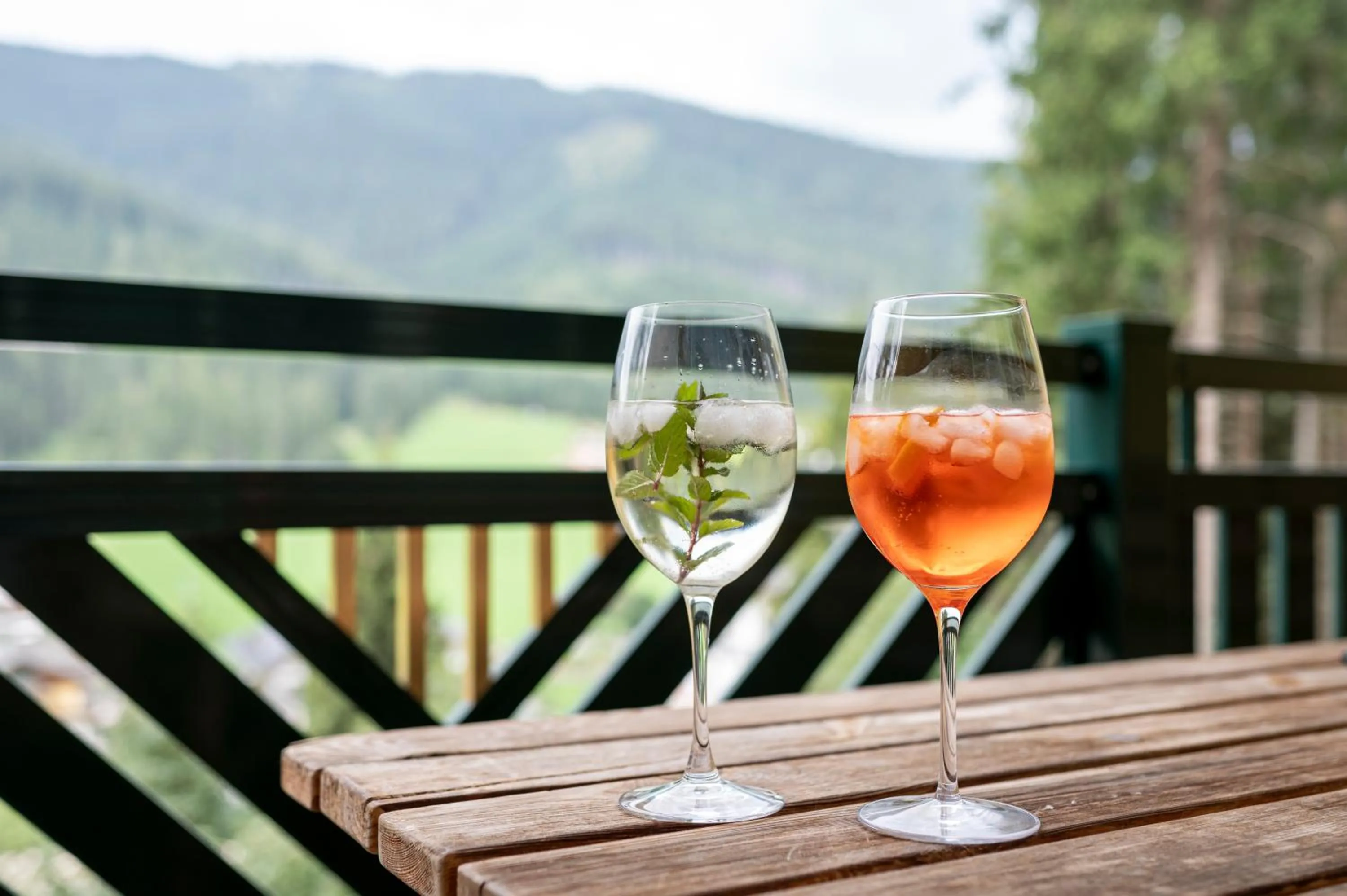 Mountain view in Landhaus Gabriele