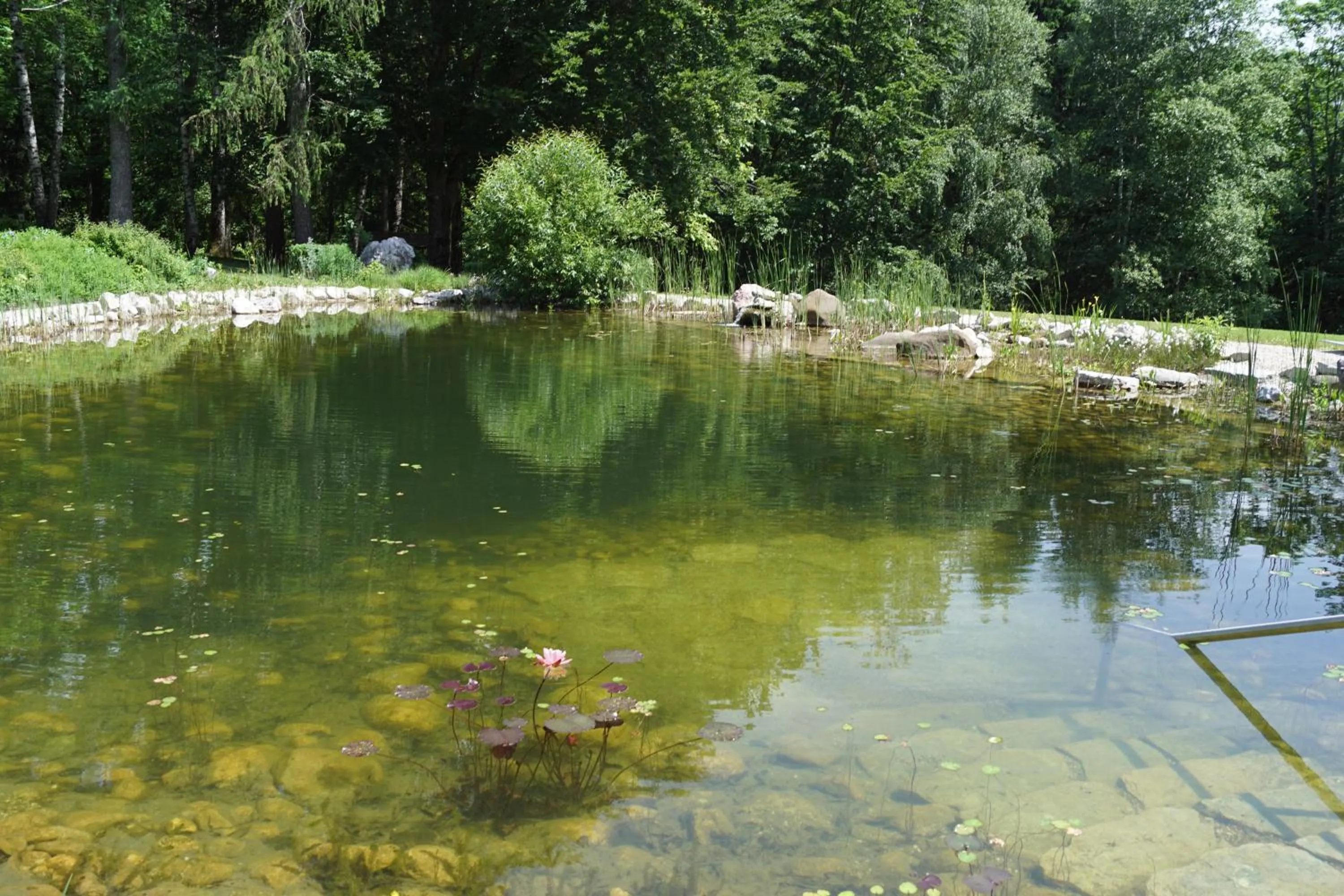 Swimming pool in Hotel garni Kranzbichlhof