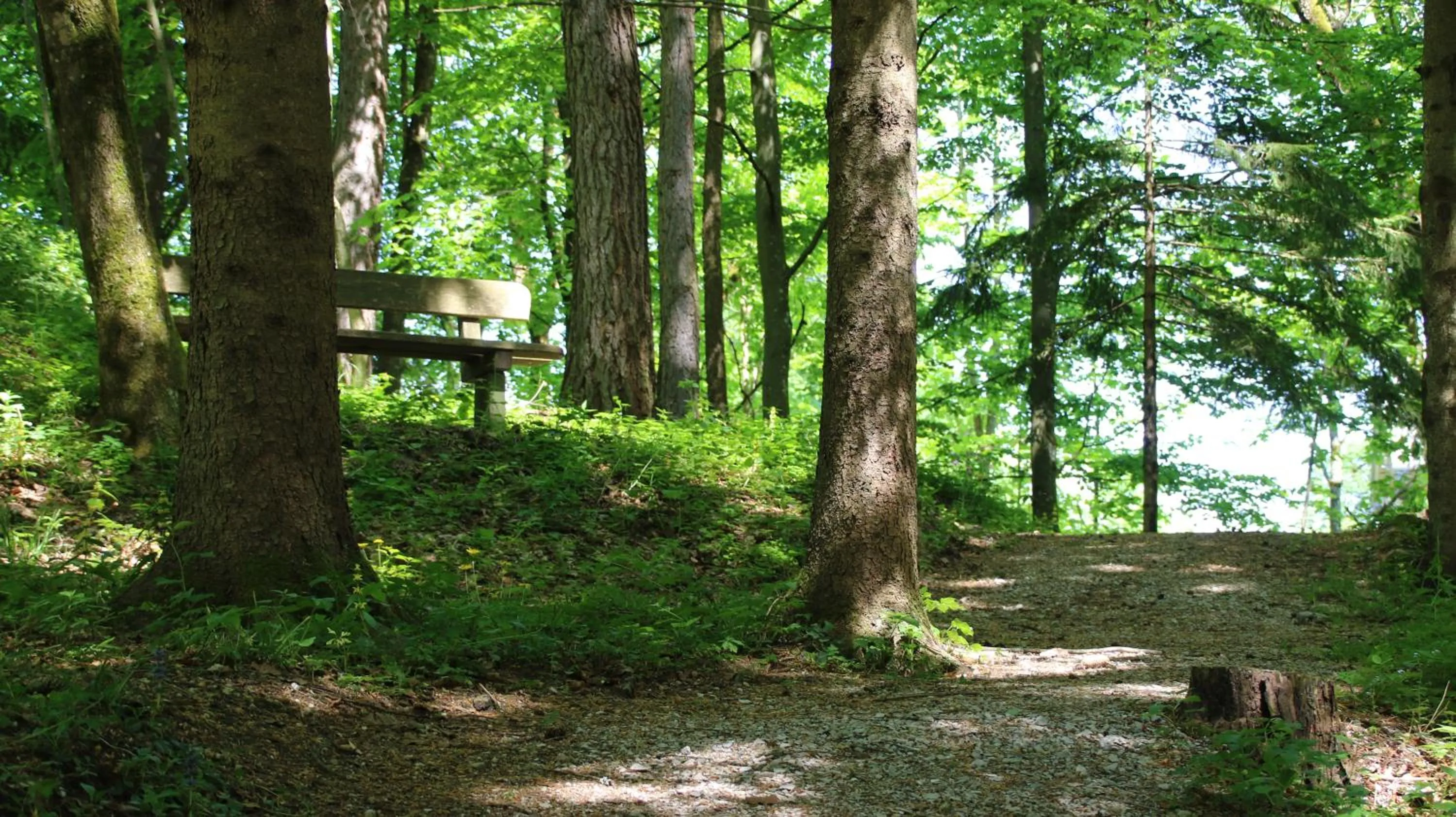 Garden in Hotel garni Kranzbichlhof