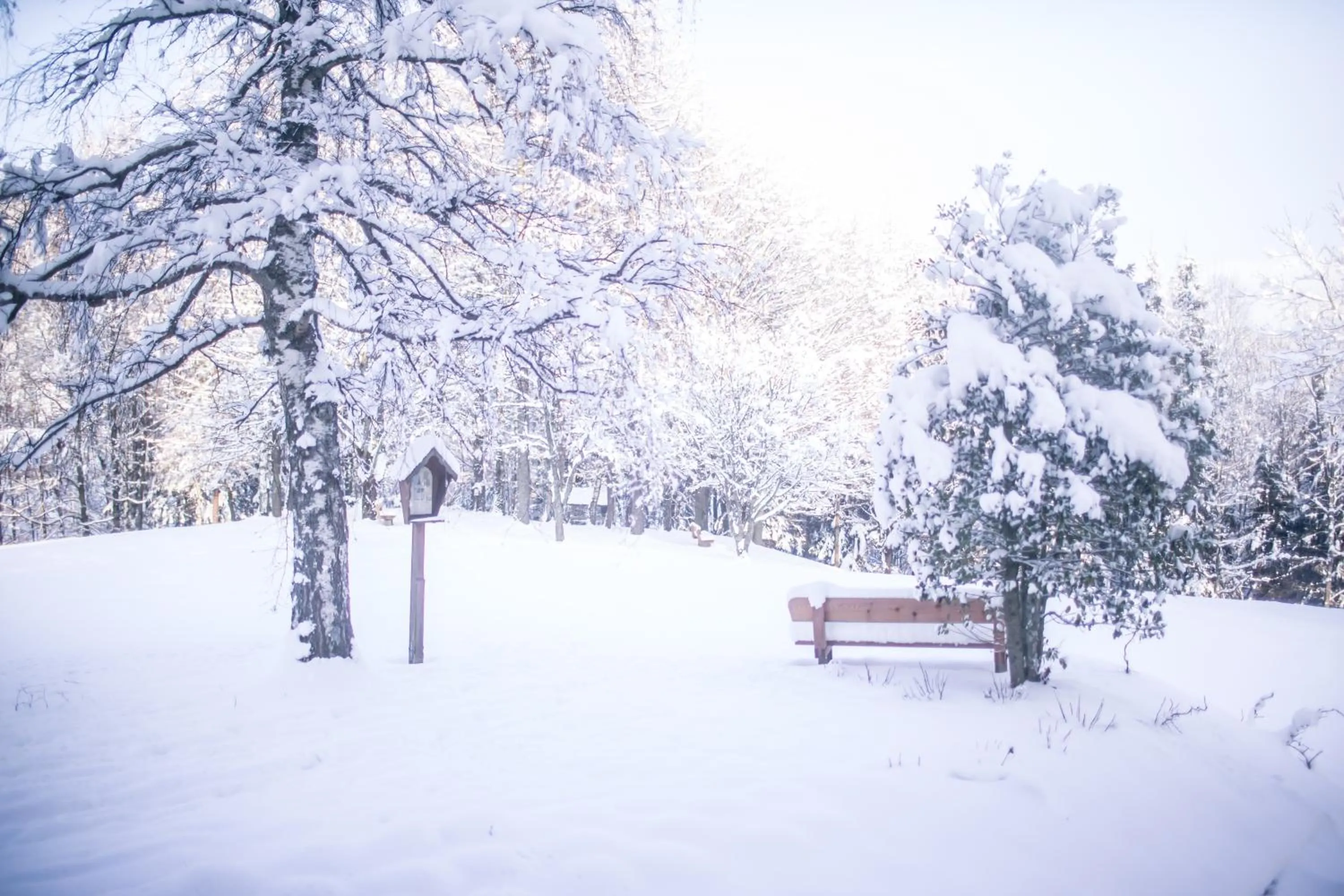 Garden in Hotel garni Kranzbichlhof