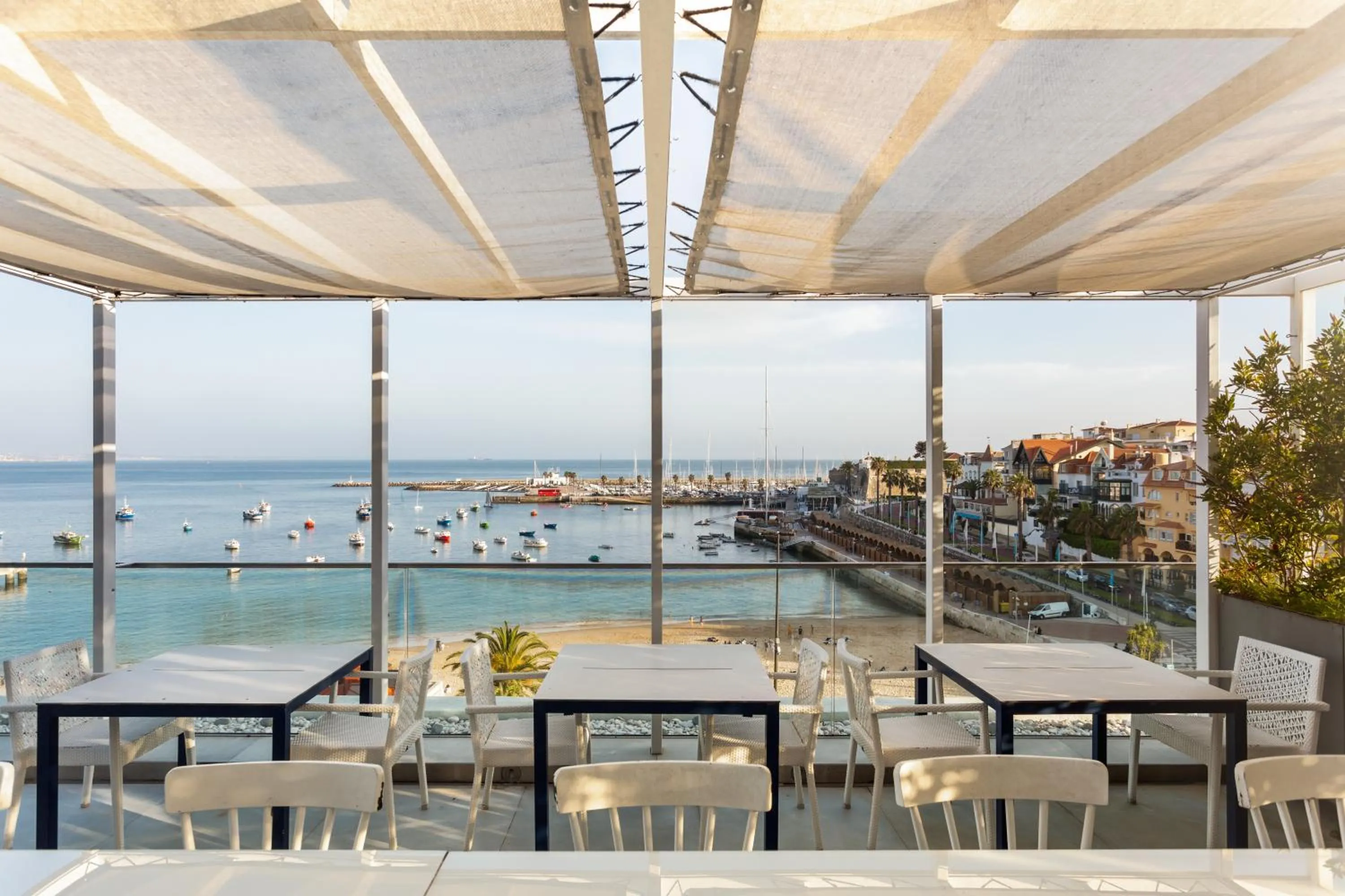 Balcony/Terrace in Hotel Baia
