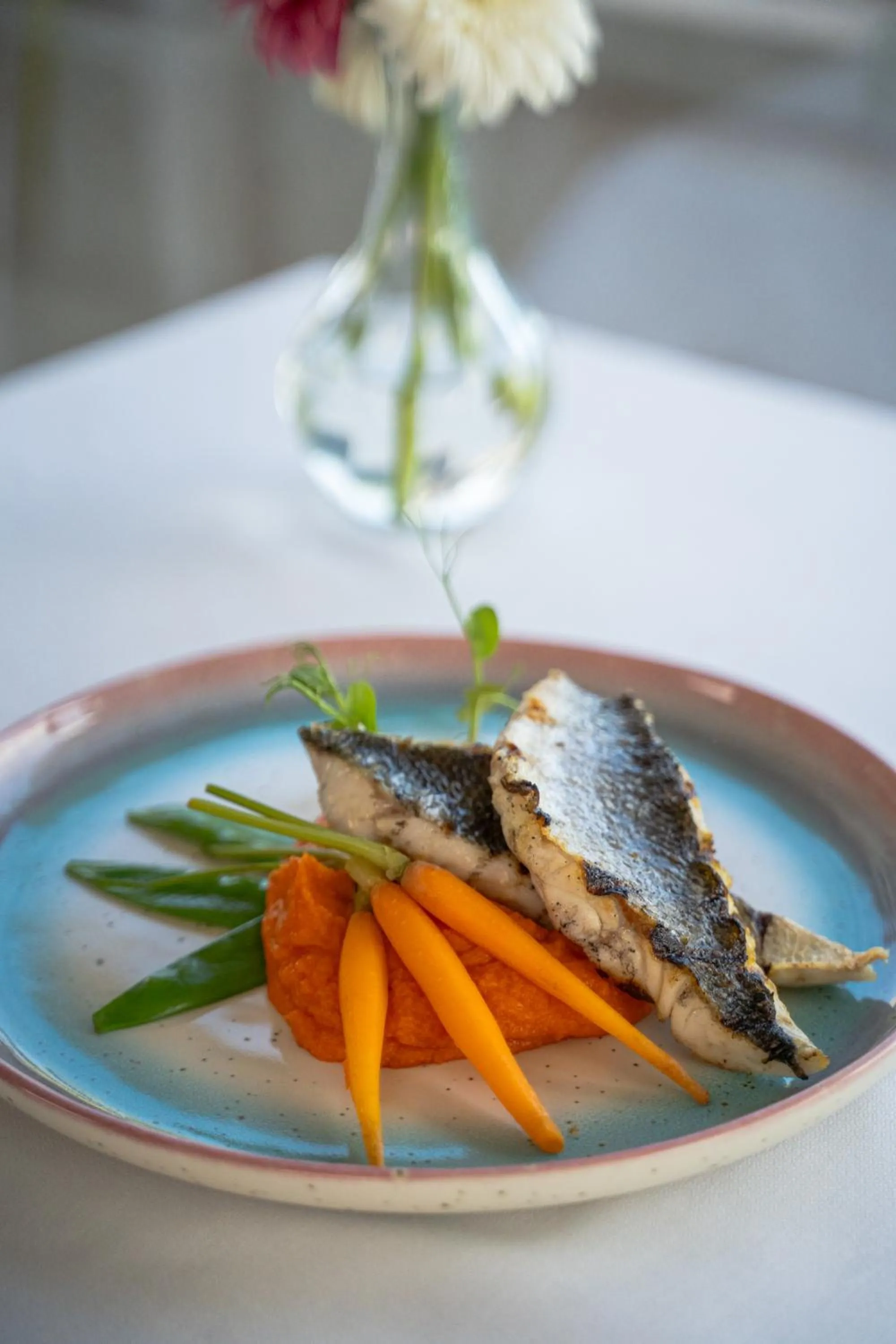 Restaurant/places to eat in Hotel Baia