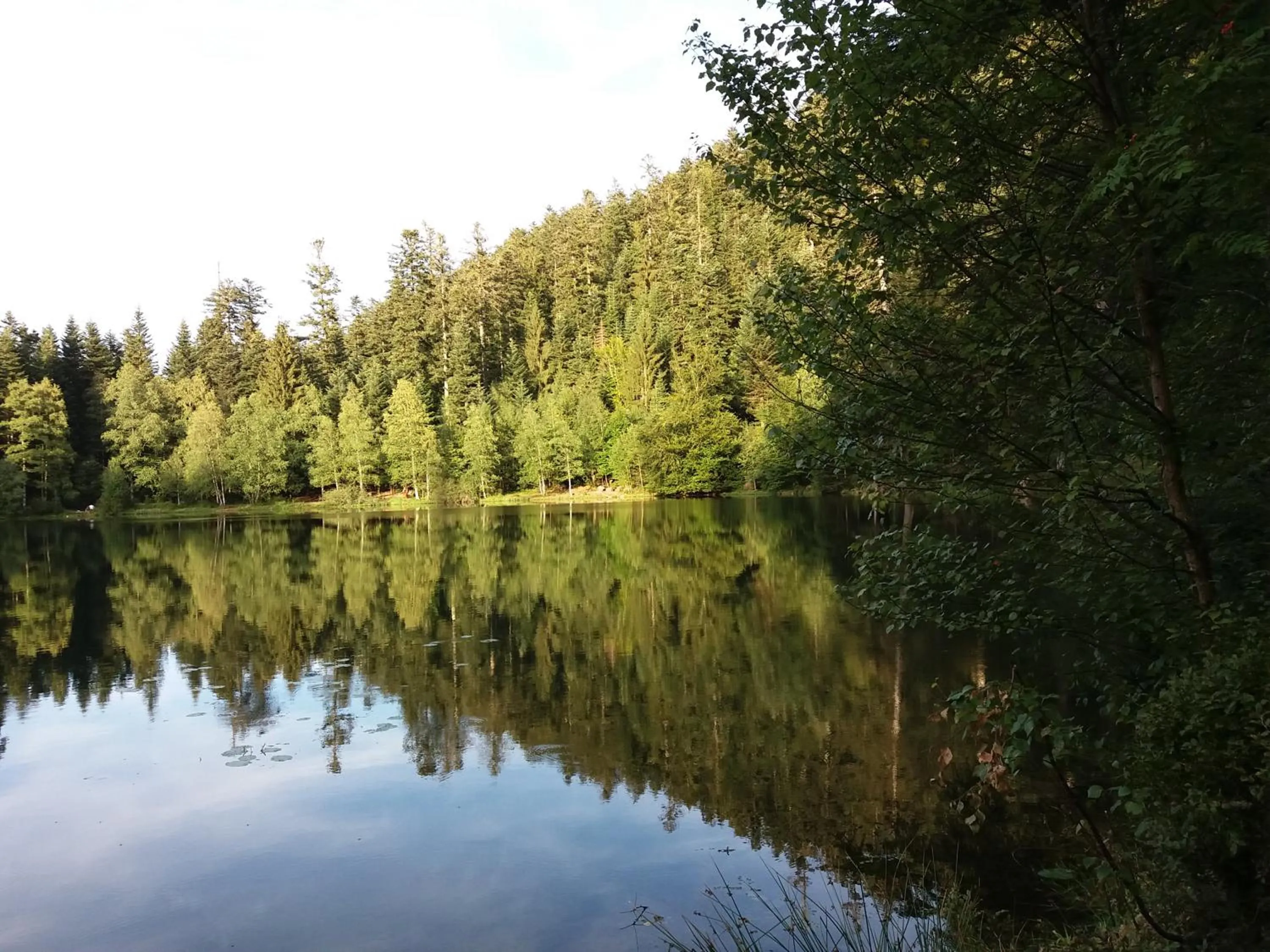 Natural landscape in Lorraine Badonviller