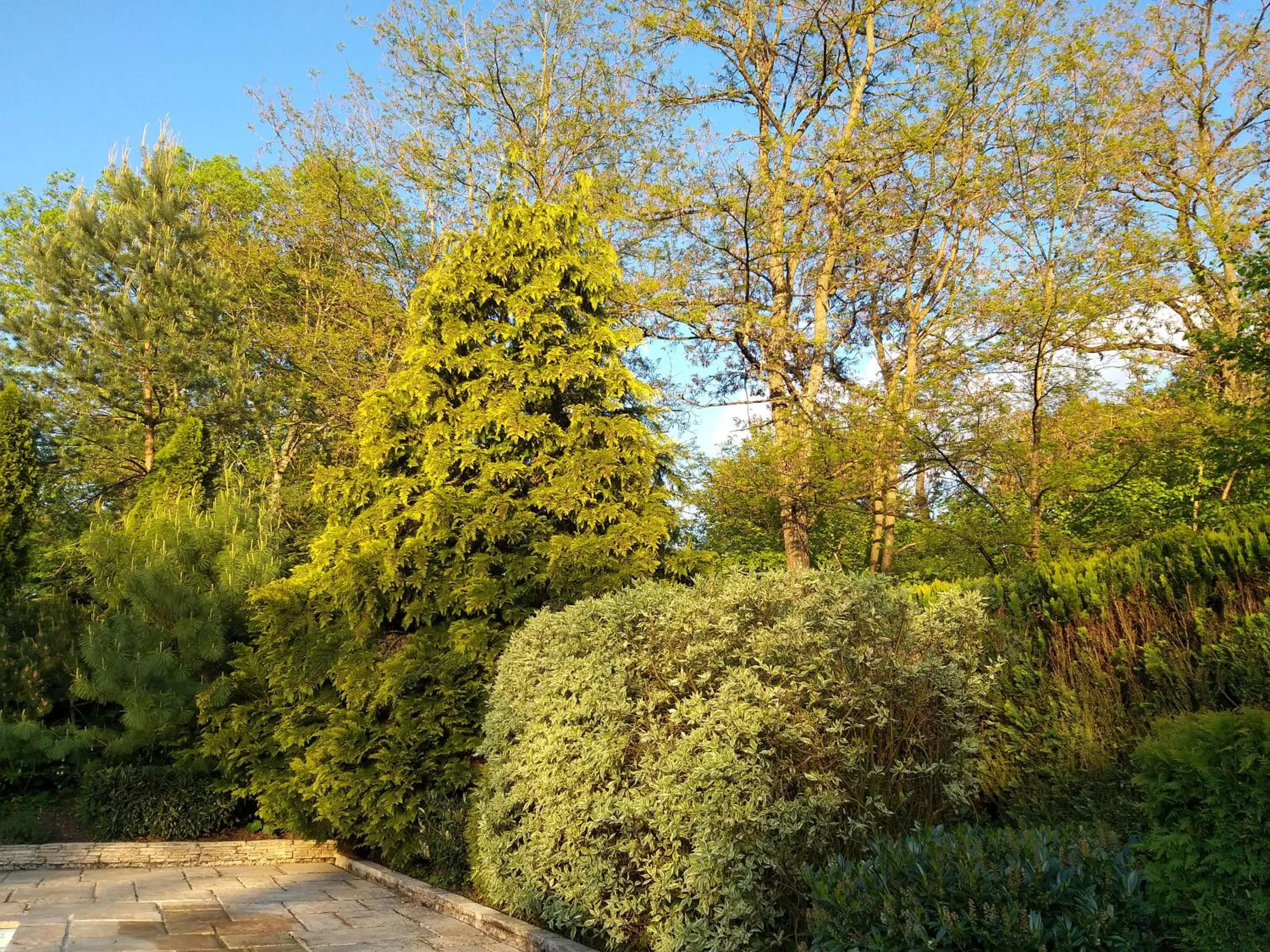 Garden view in Lorraine Badonviller