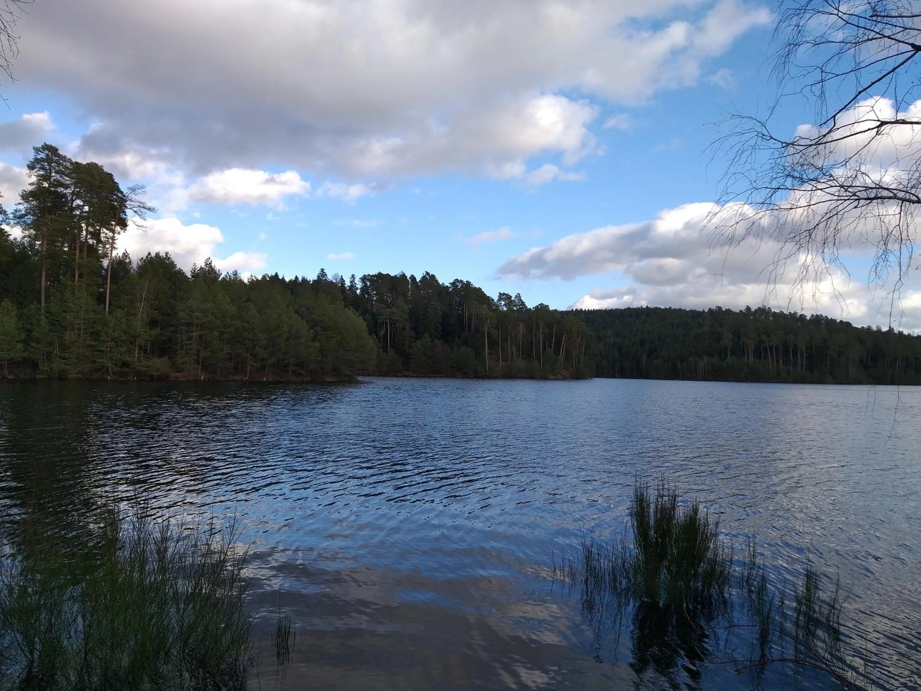 Lorraine Badonviller