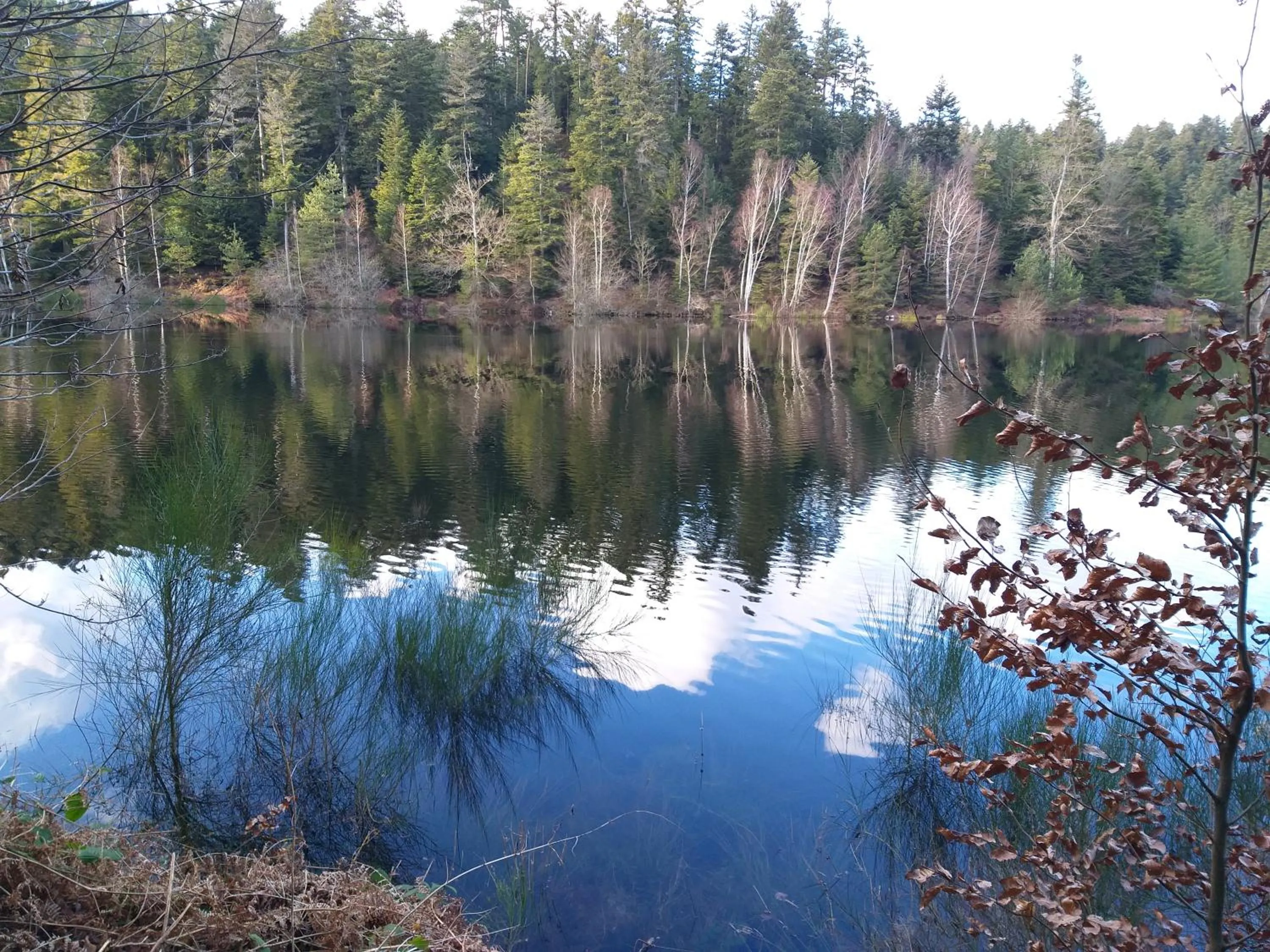 Lorraine Badonviller