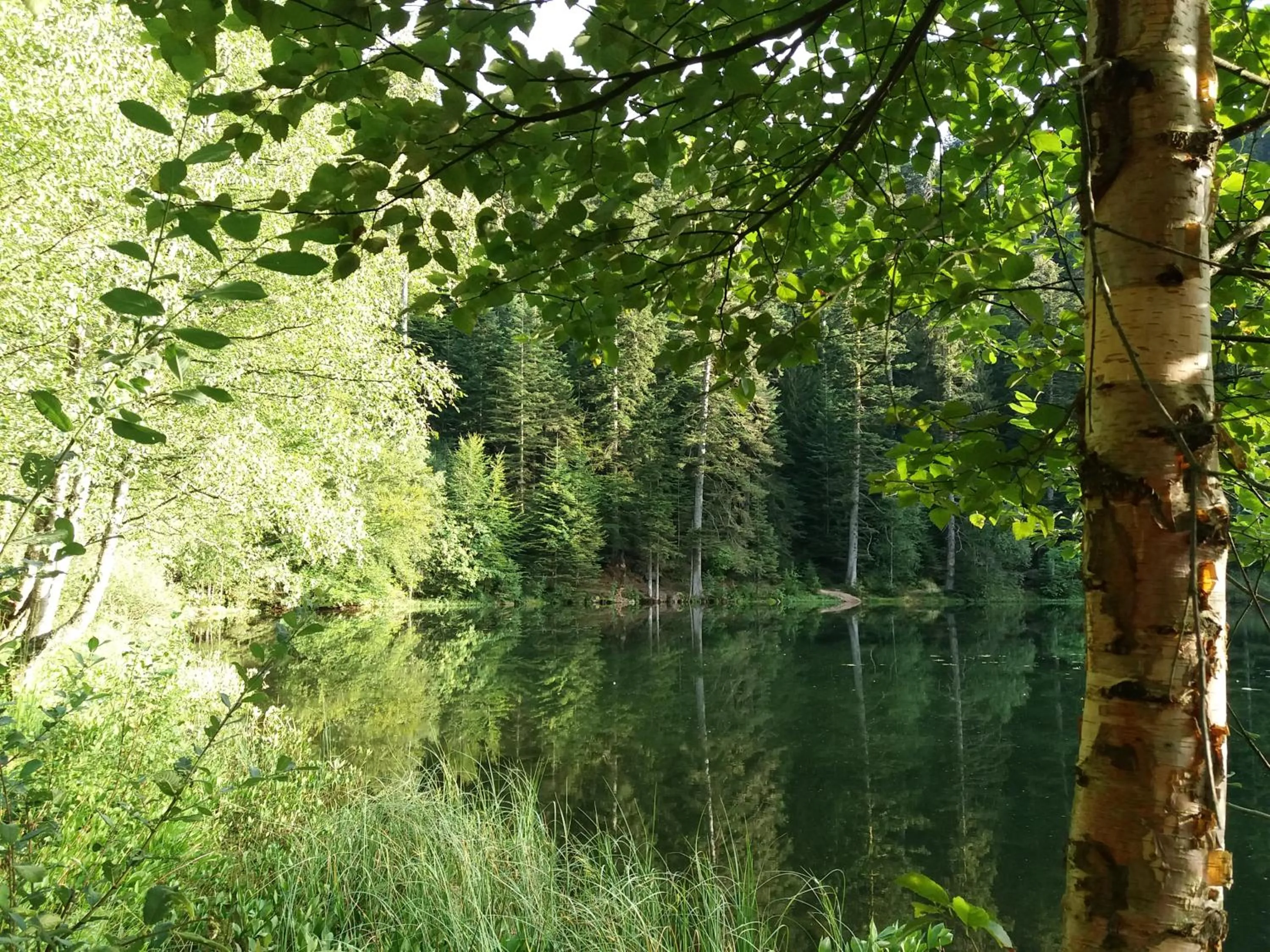 Natural landscape in Lorraine Badonviller