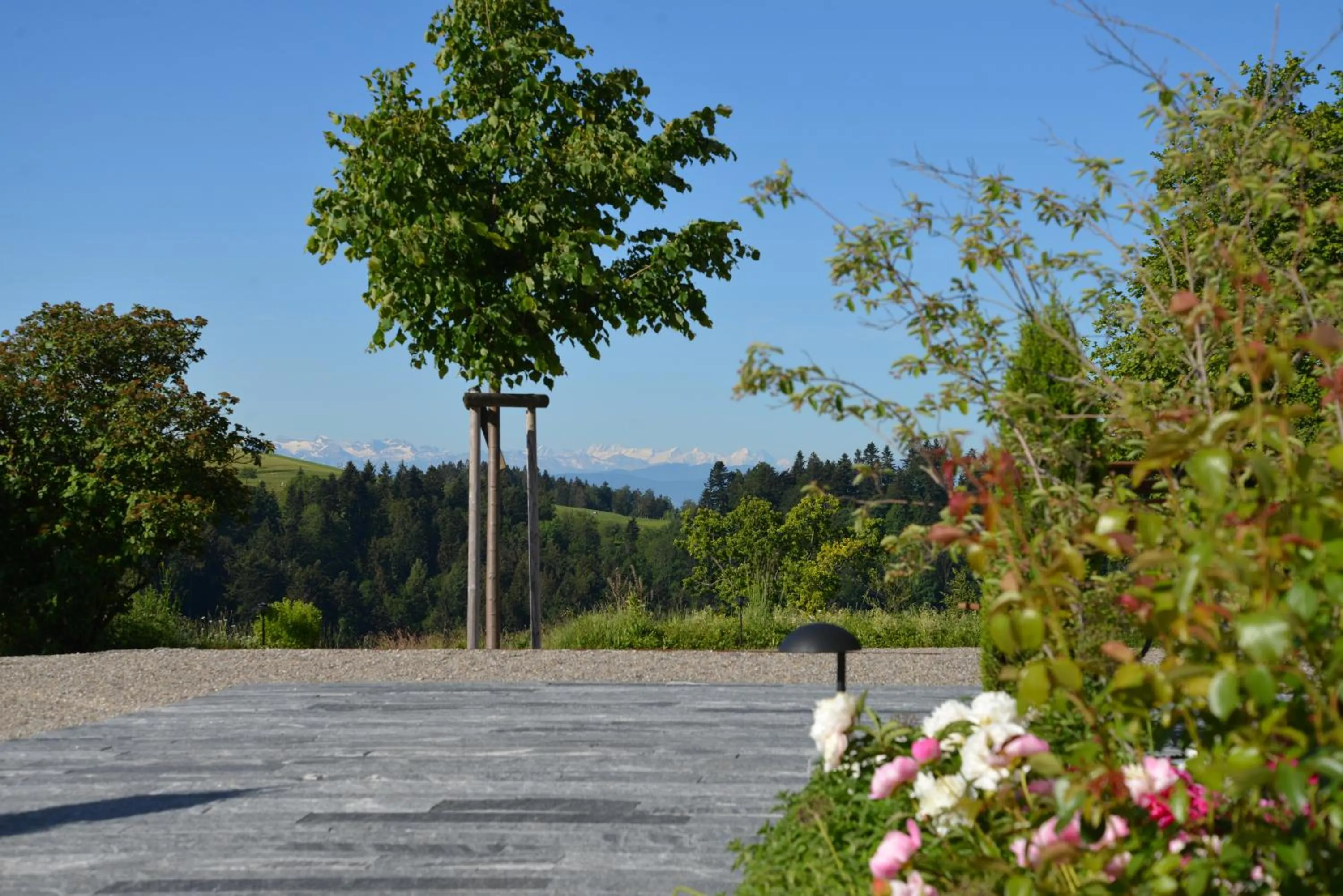Garden in Gasthof Sunnebad