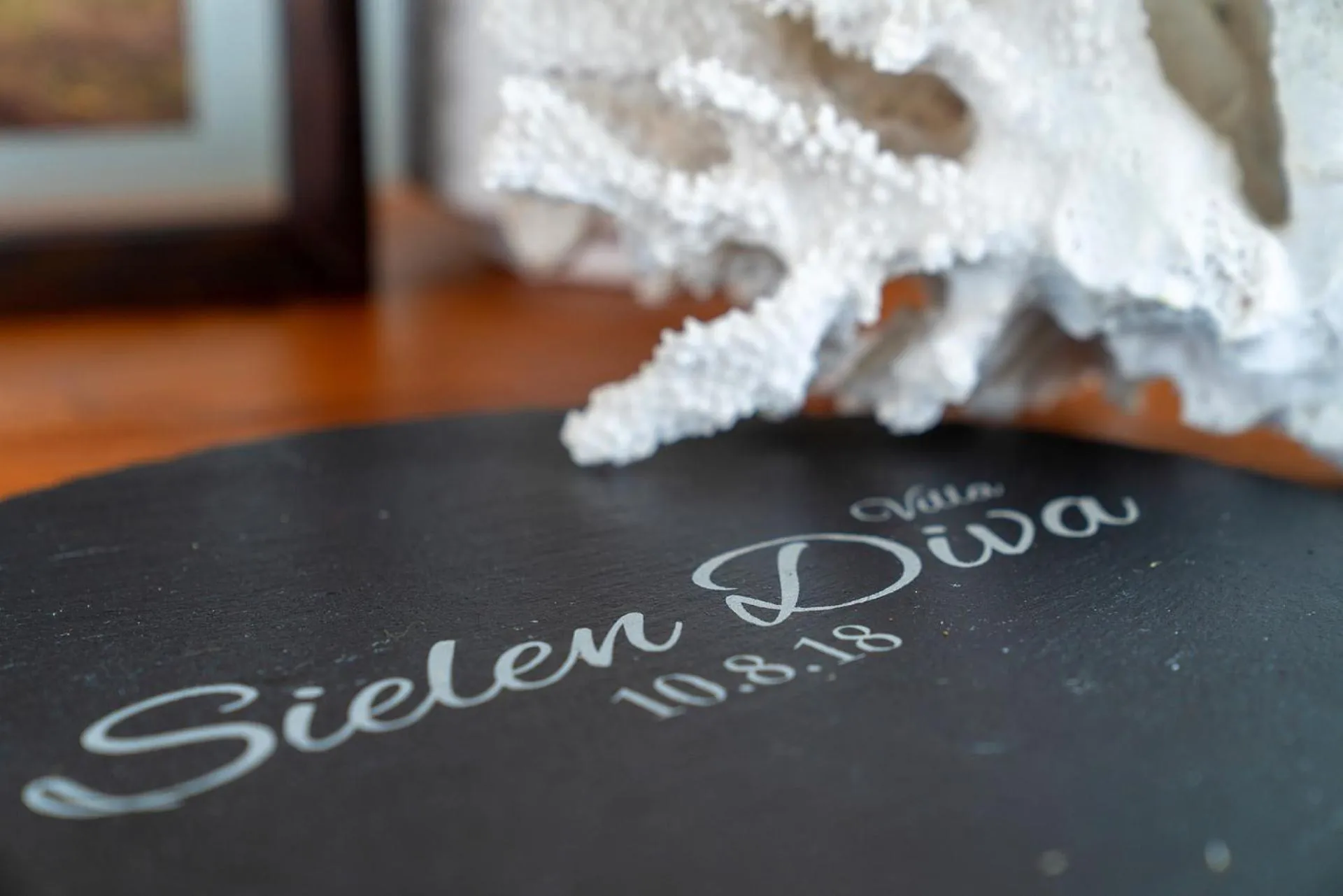 Property logo or sign in Sielen Diva