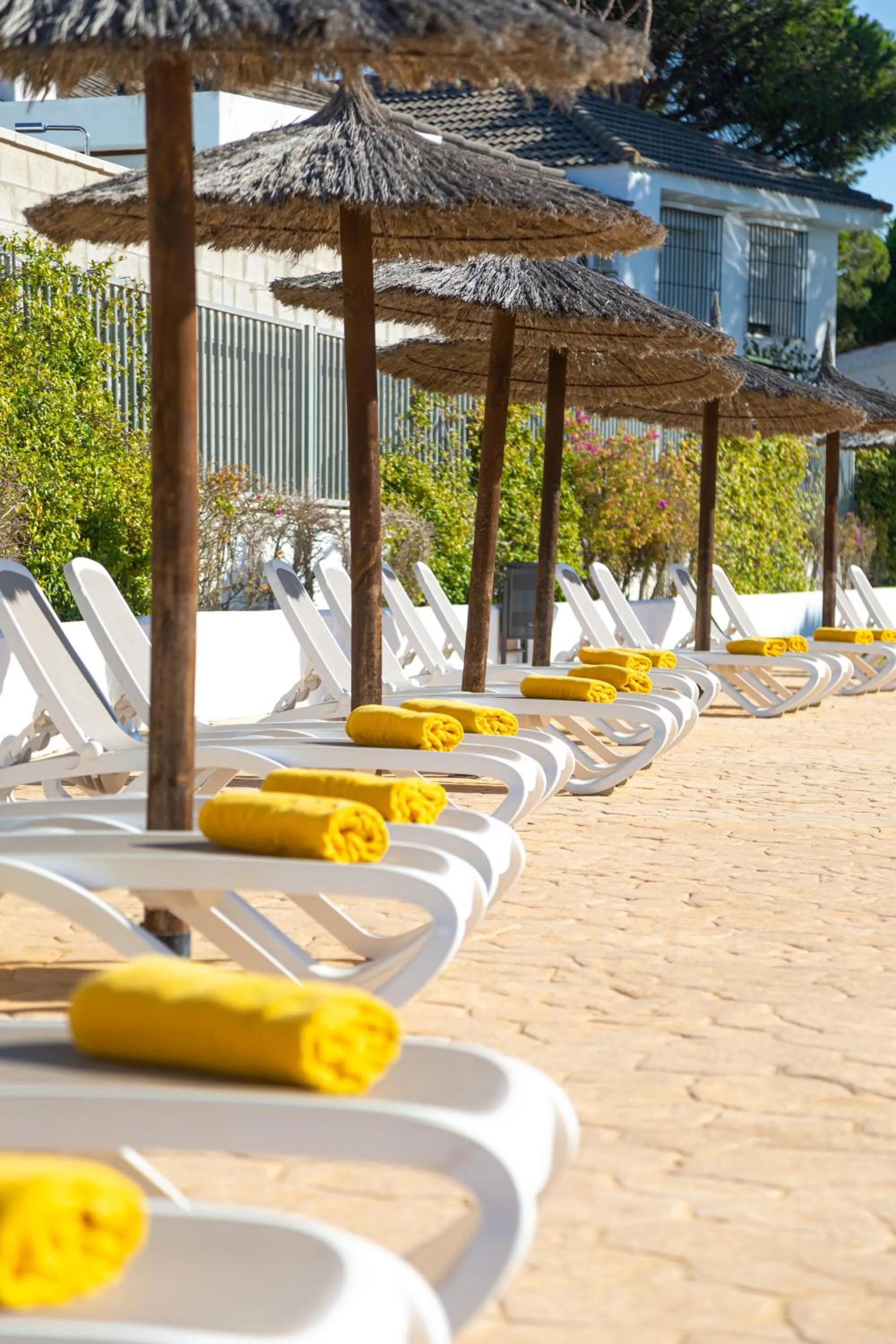 Day in Complejo Al Sur - by Grupo Tribu