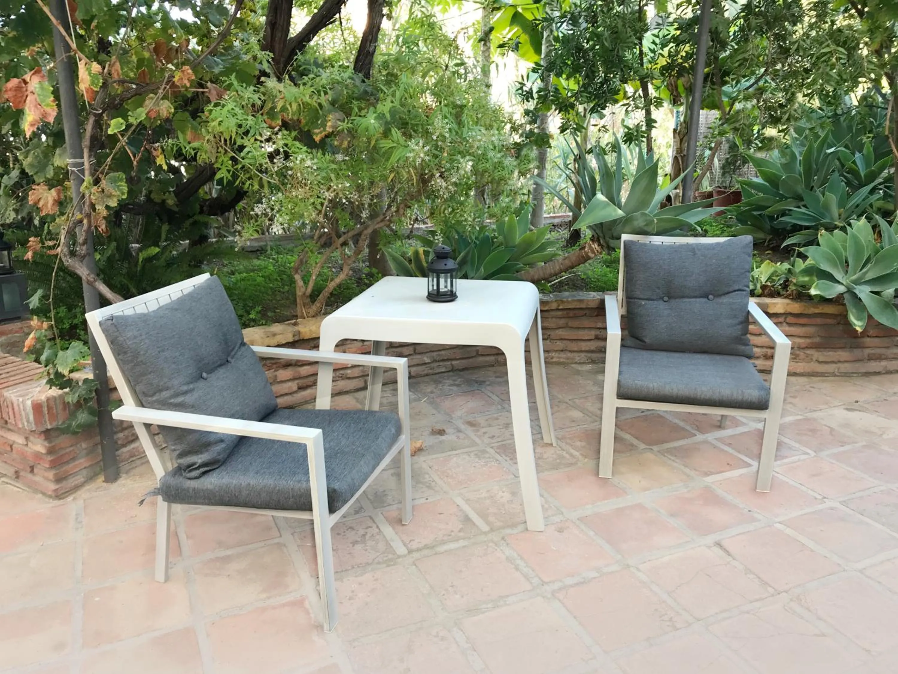 Garden in Apartamentos Turísticos La Mundial