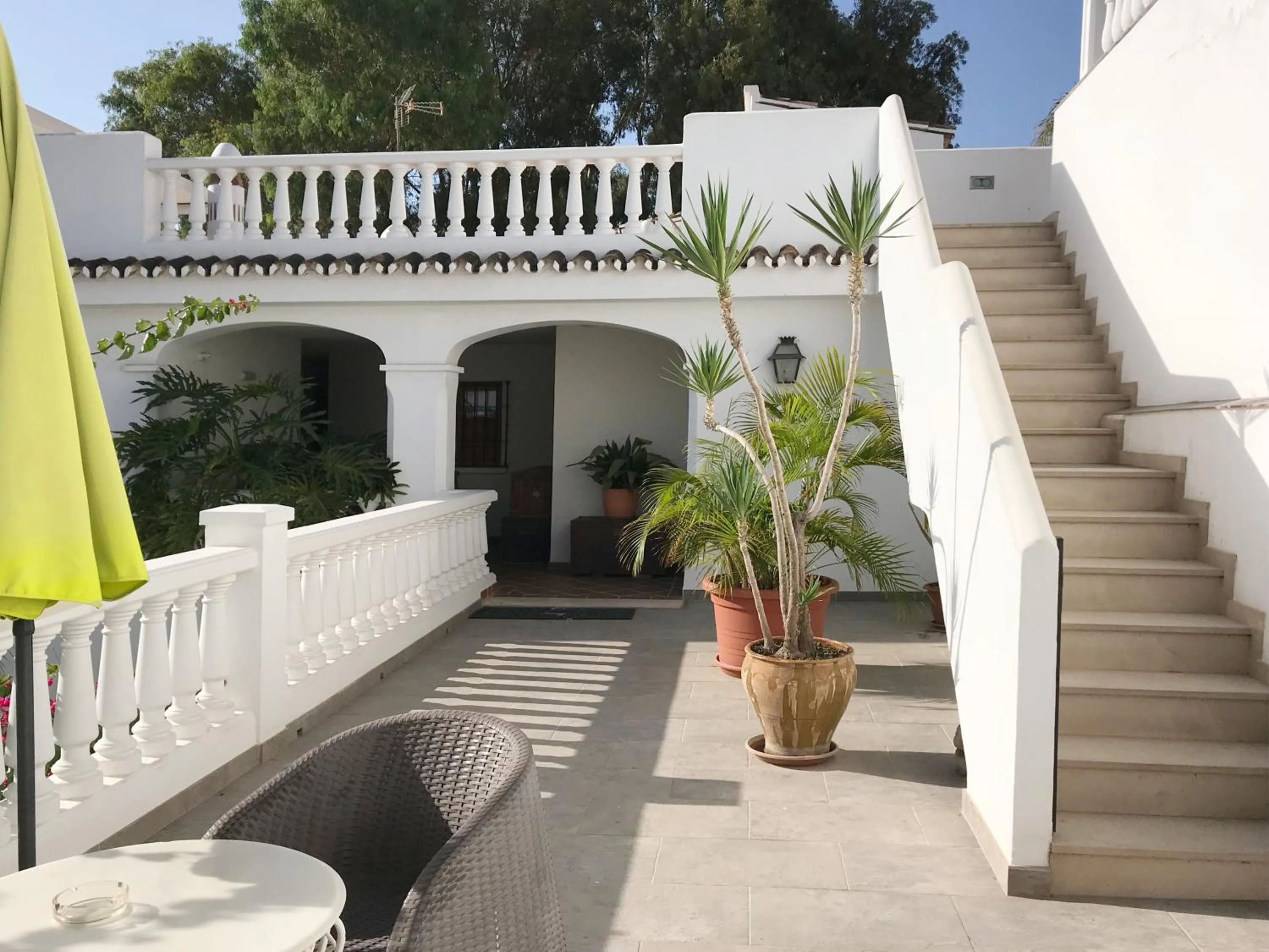 Garden in Apartamentos Turísticos La Mundial