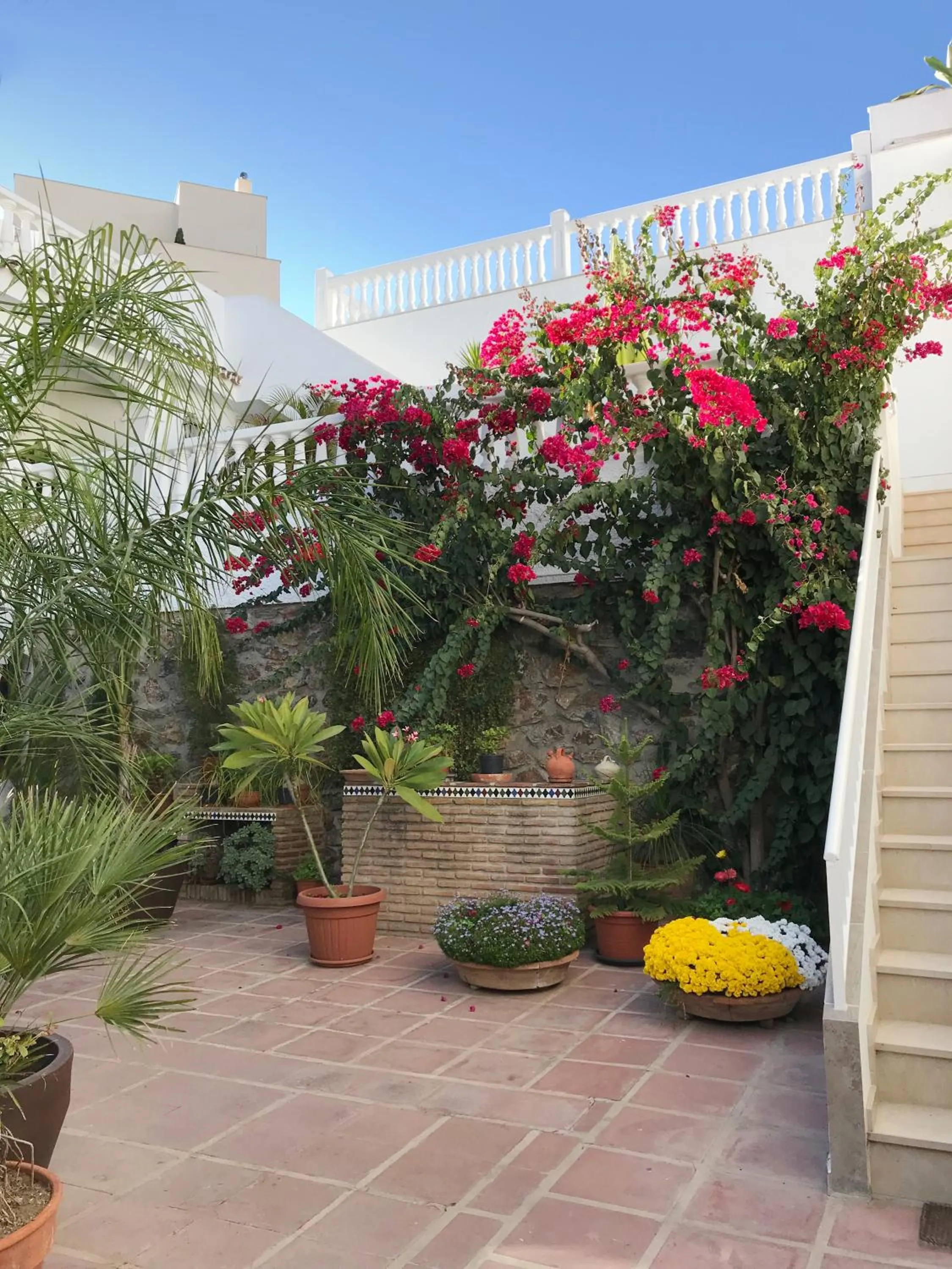 Patio in Apartamentos Turísticos La Mundial