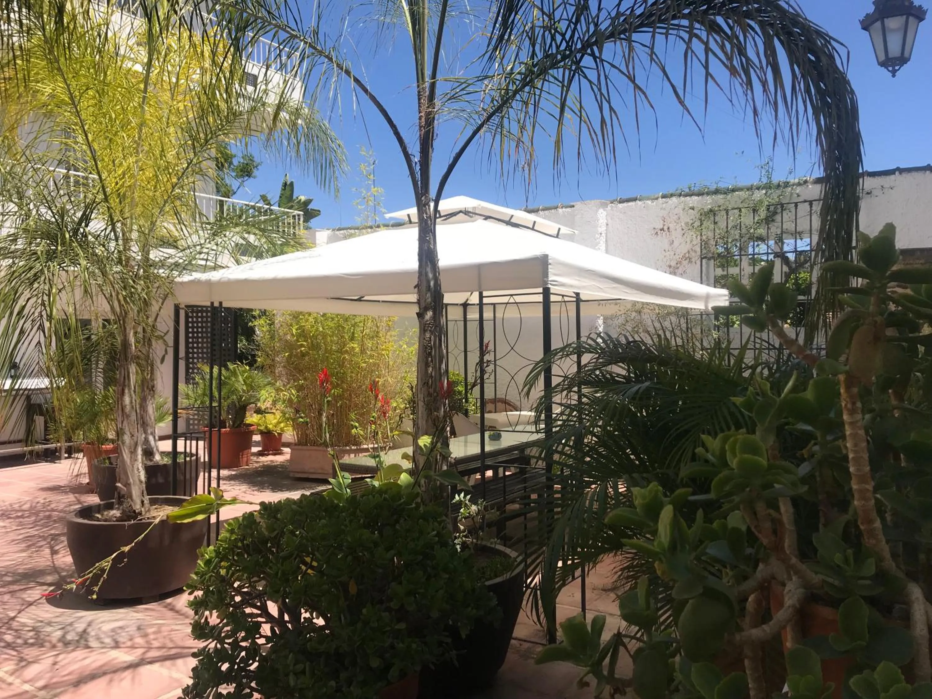 Garden in Apartamentos Turísticos La Mundial