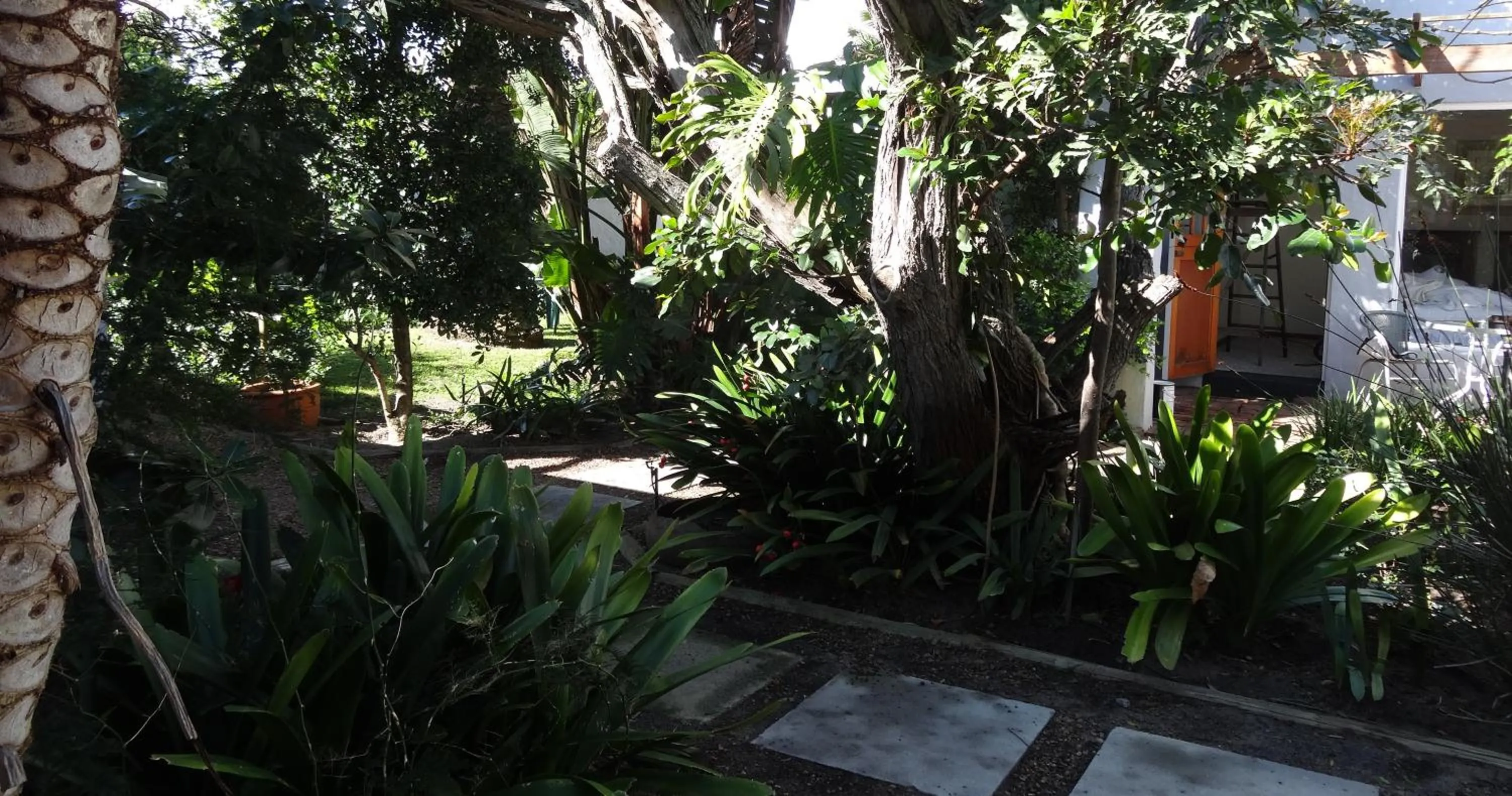 Garden in Be My Guest Lodge