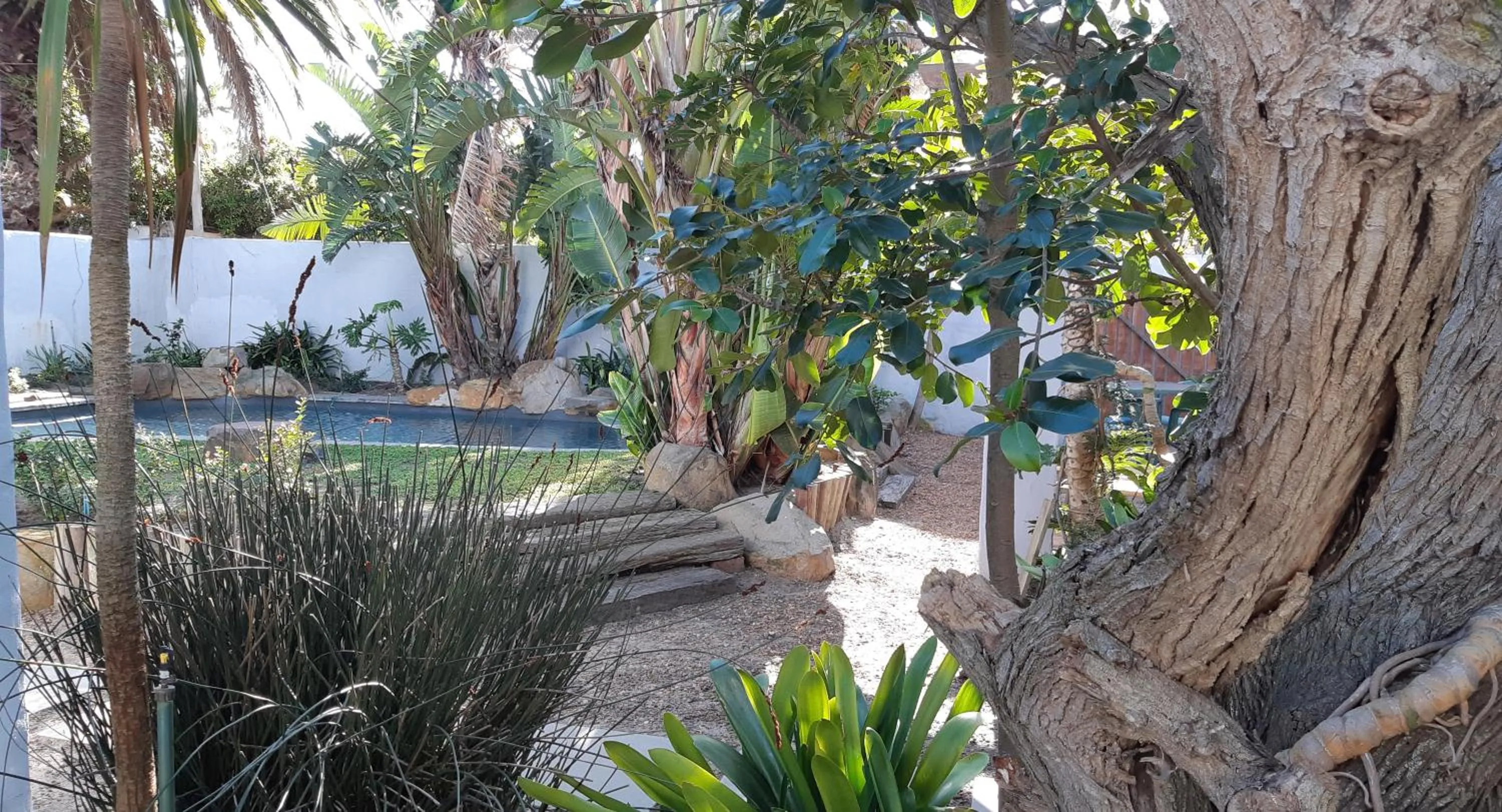 Garden in Be My Guest Lodge