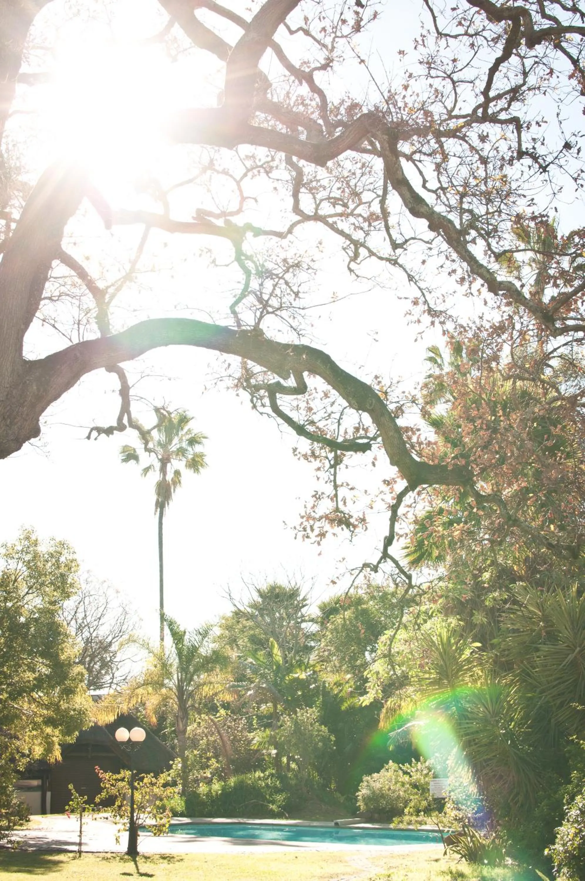 Garden in The Country Guesthouse
