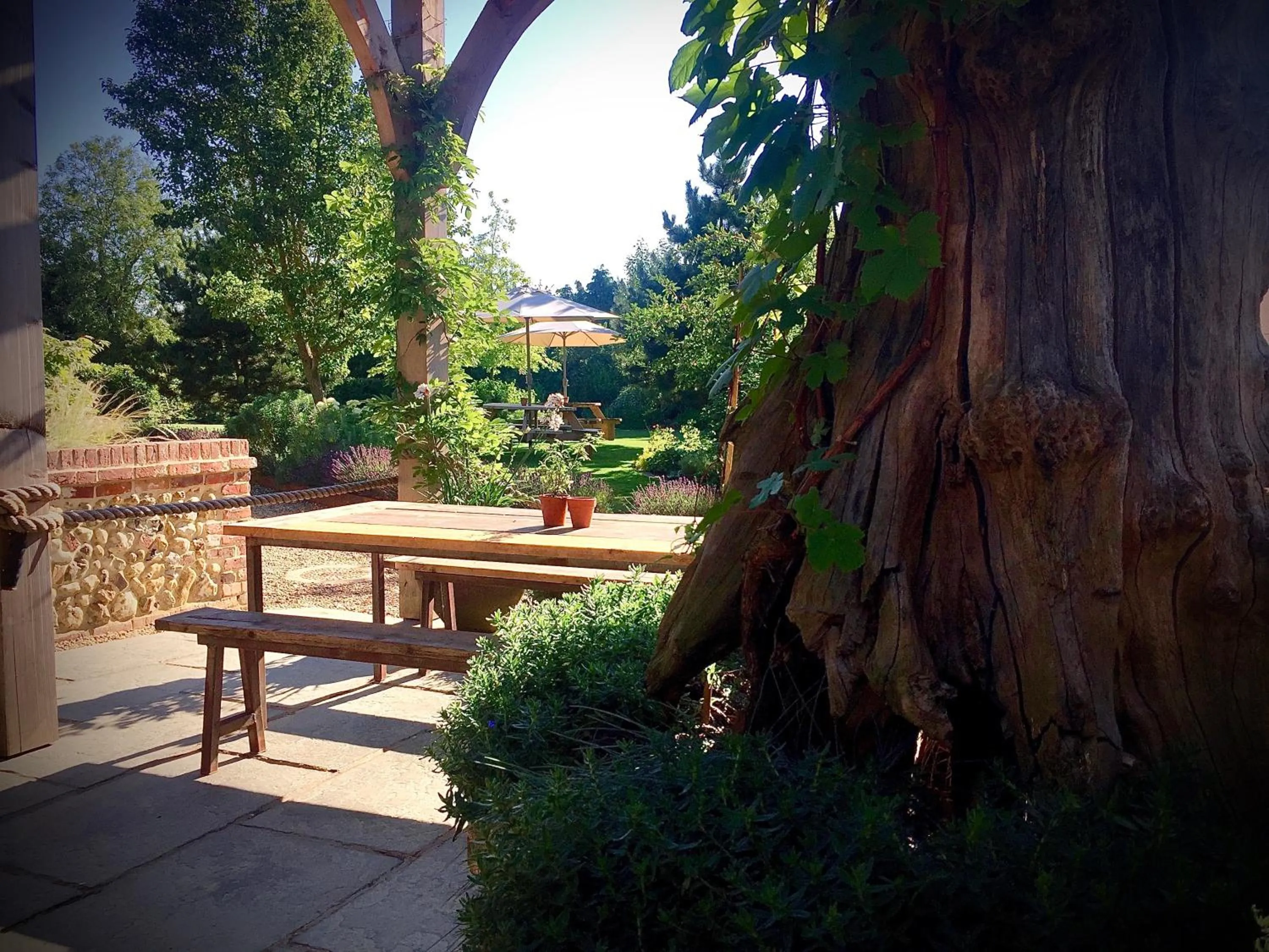 Patio in The Brisley Bell