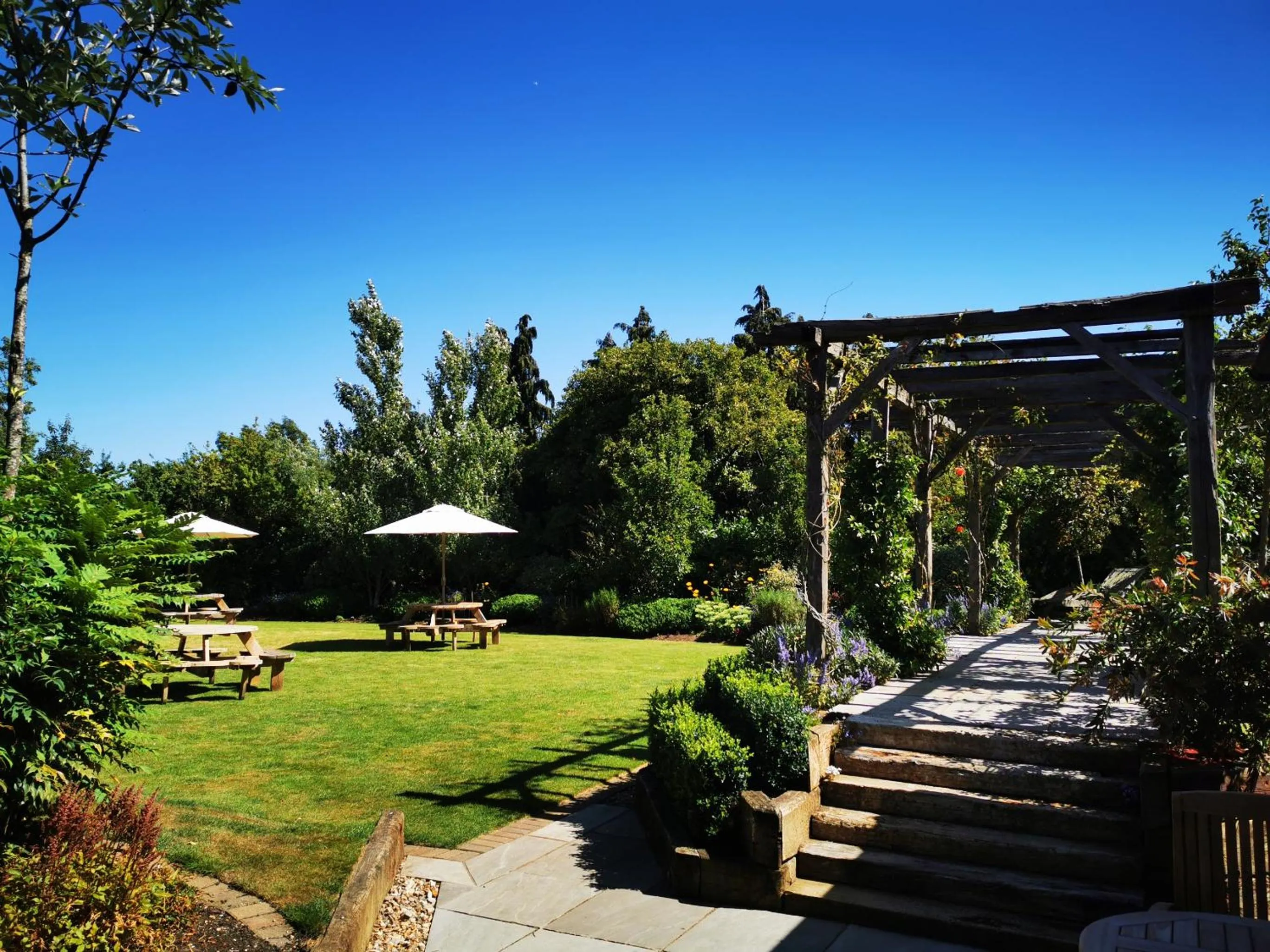 Garden in The Brisley Bell