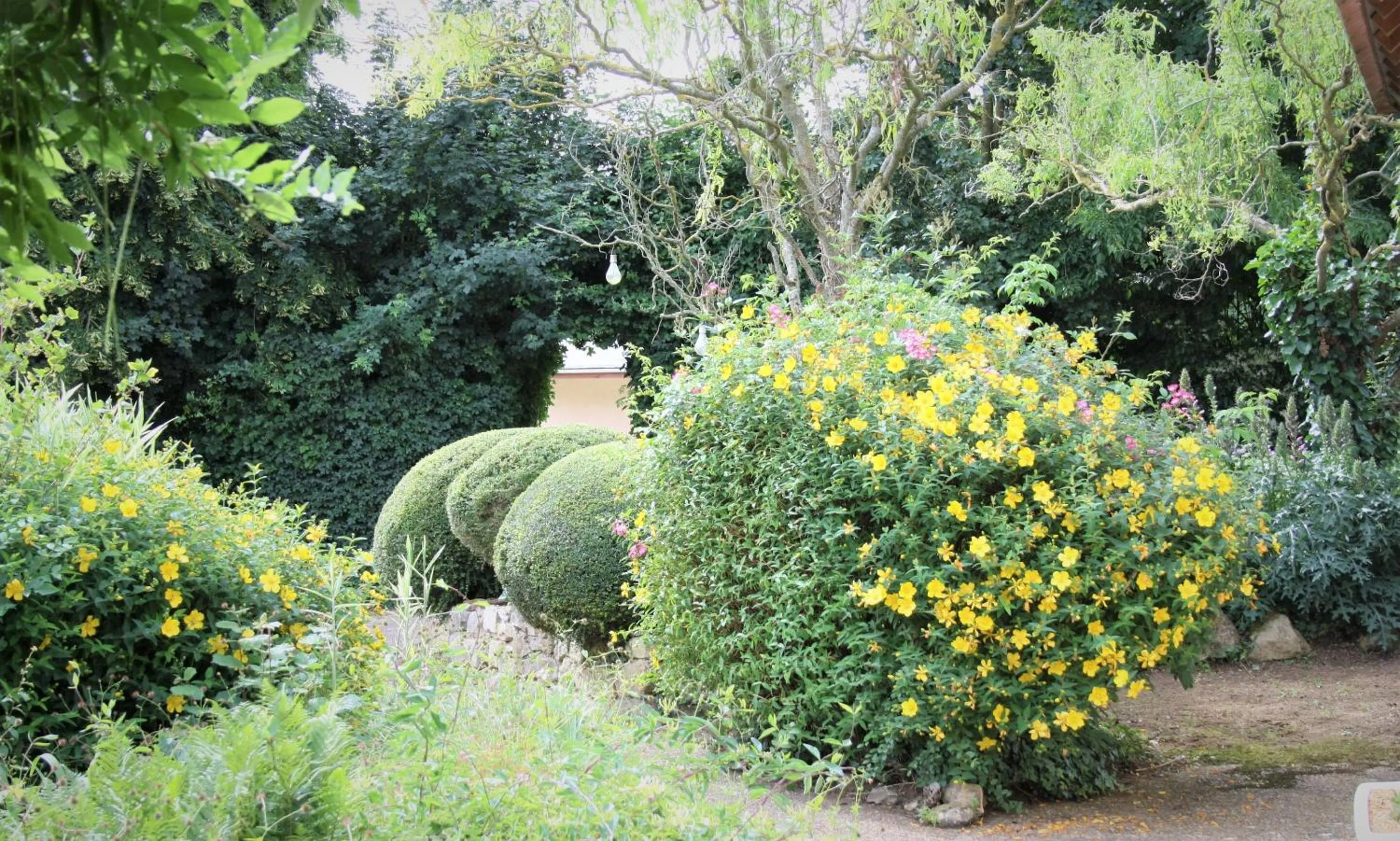 Natural landscape in Manoir de la Basse-Cour