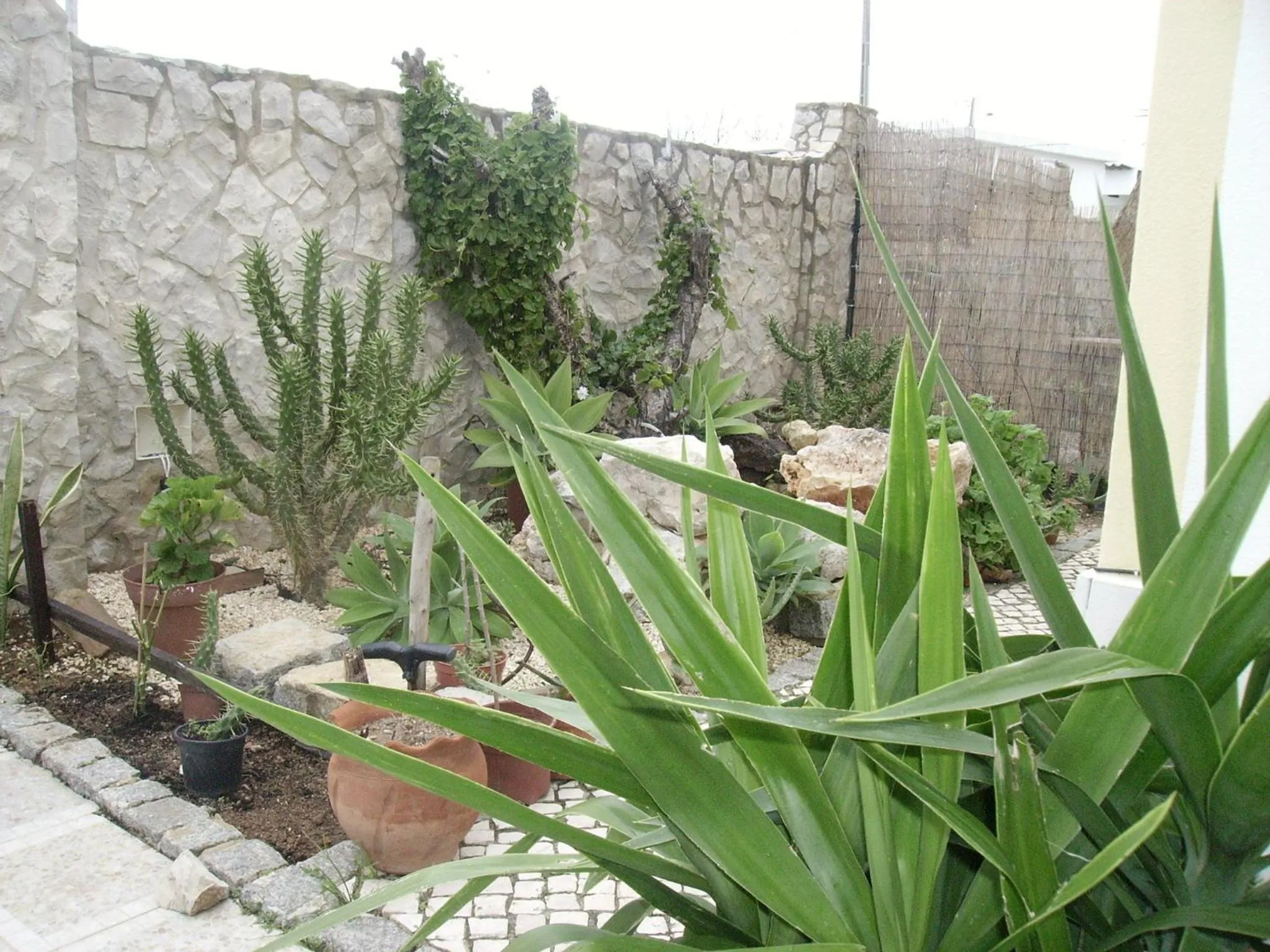 Garden in Ocean View Lagos