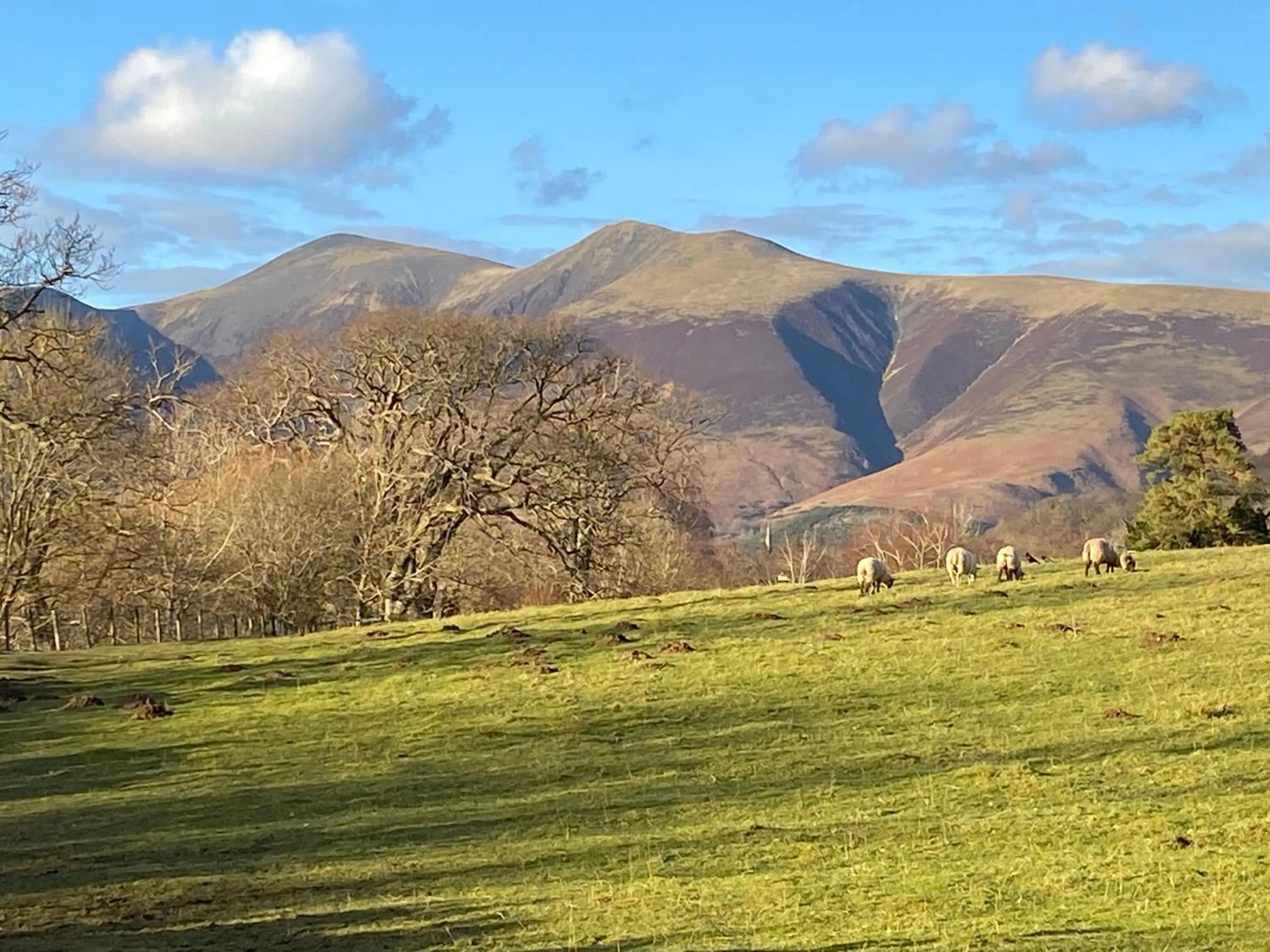 Off site in Goodwin House