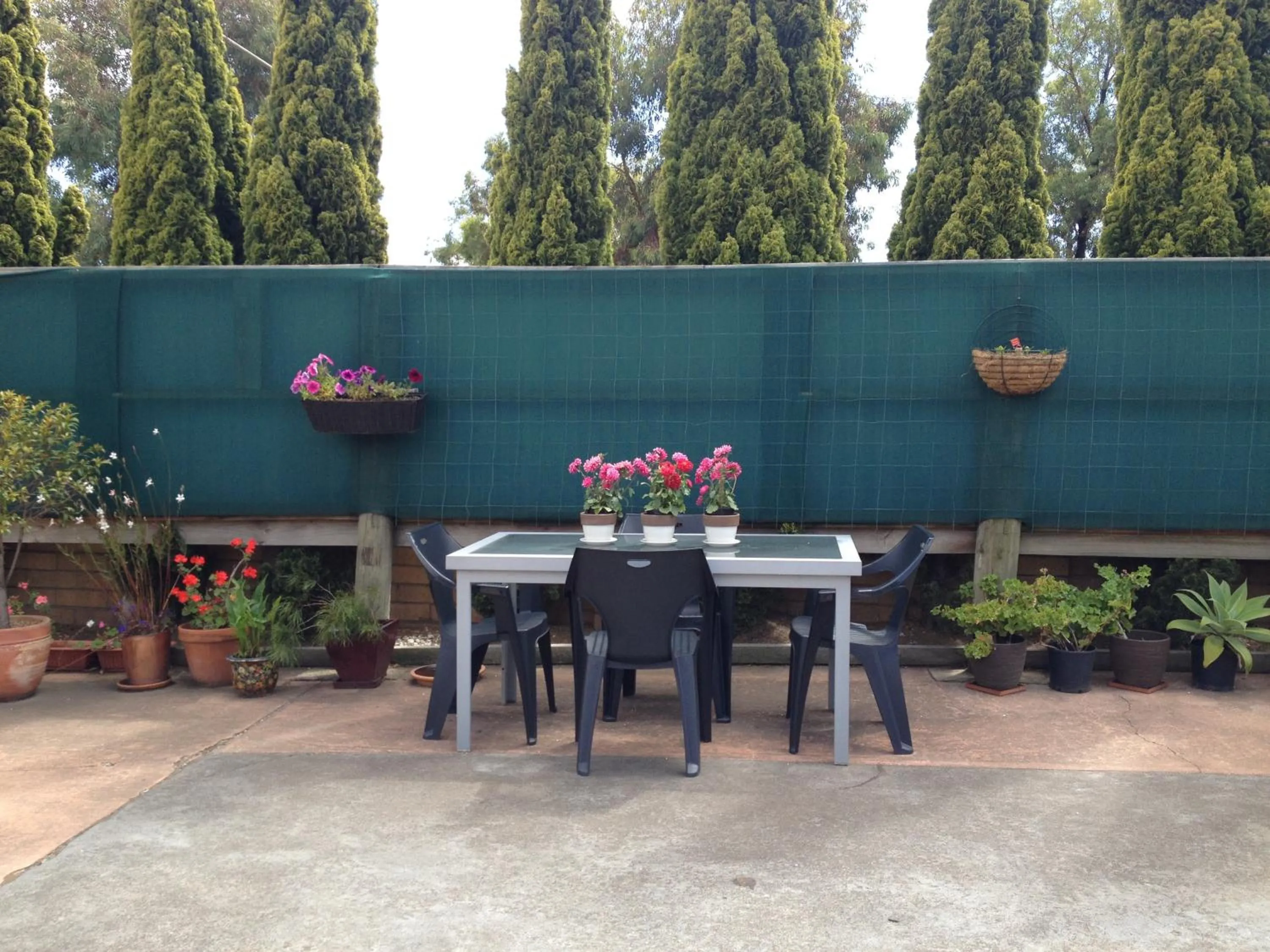 Decorative detail in Rippleside Park Motor Inn