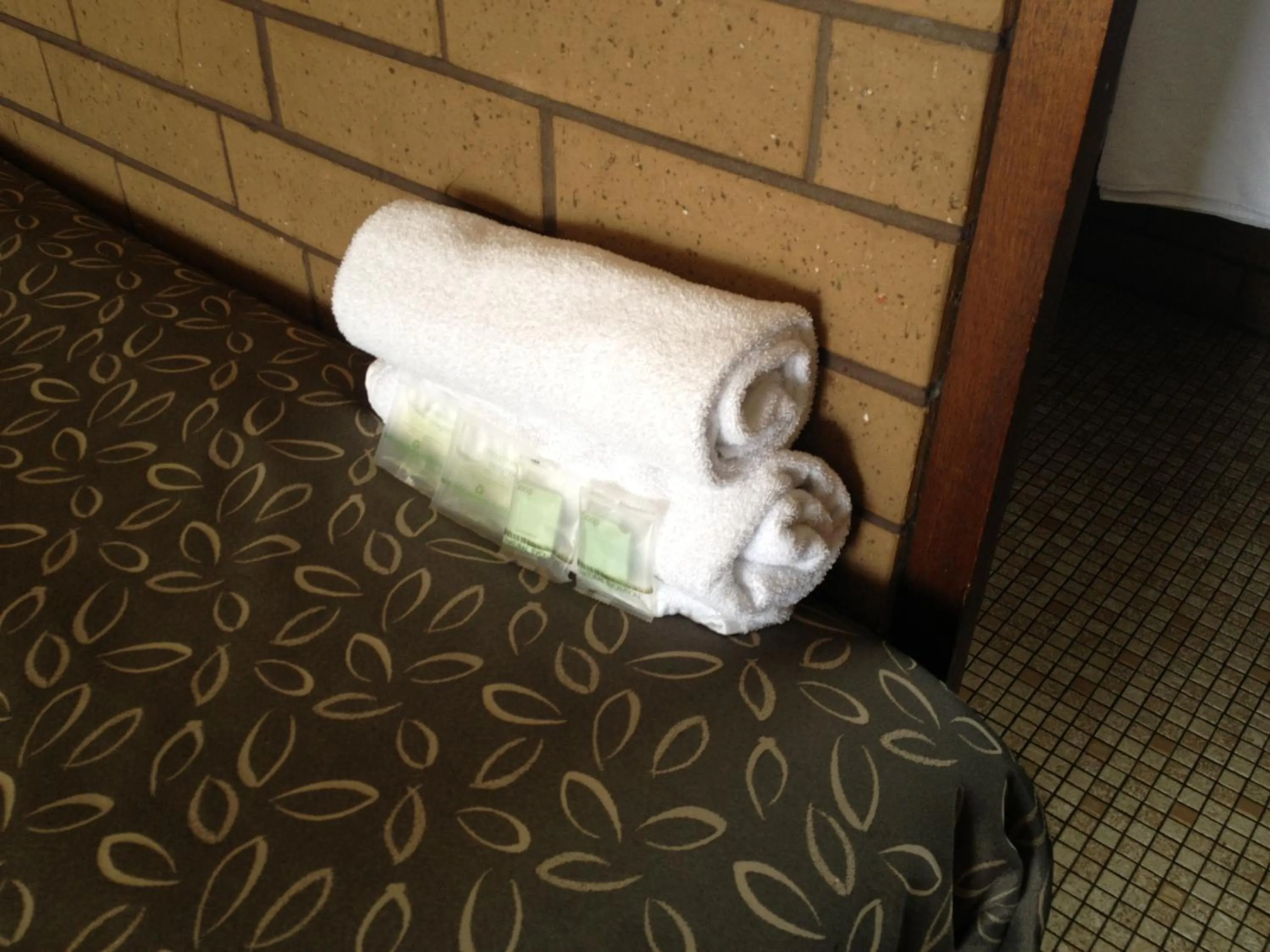 Decorative detail in Rippleside Park Motor Inn