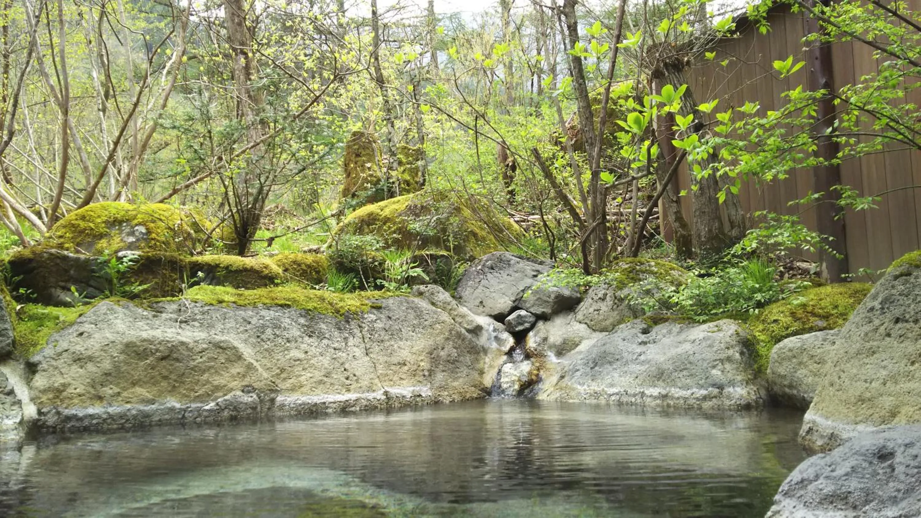 Other in Katsuragi no Sato