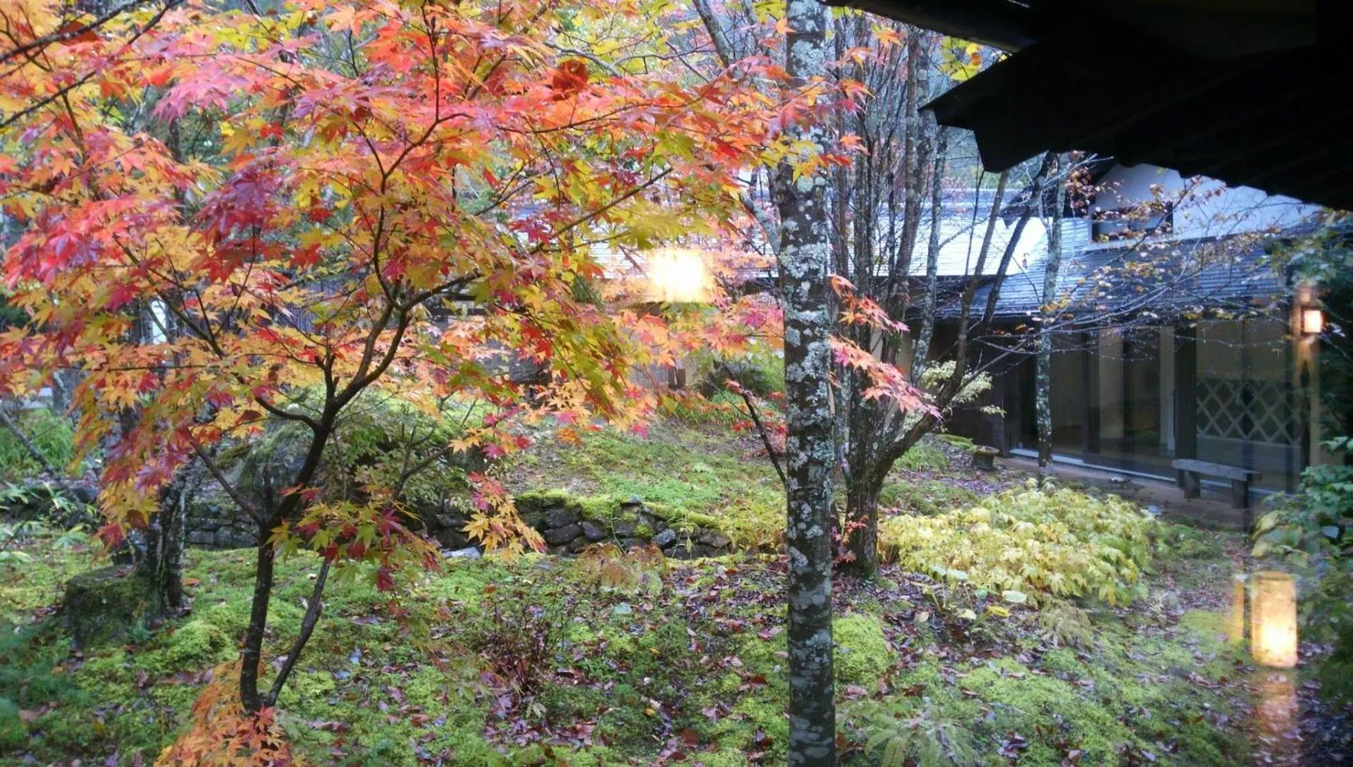 Garden view in Katsuragi no Sato