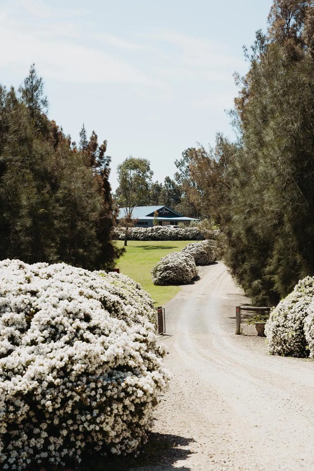 Red Door Collective - RDC Vineyard Estate, Luxury Adult Only Stay