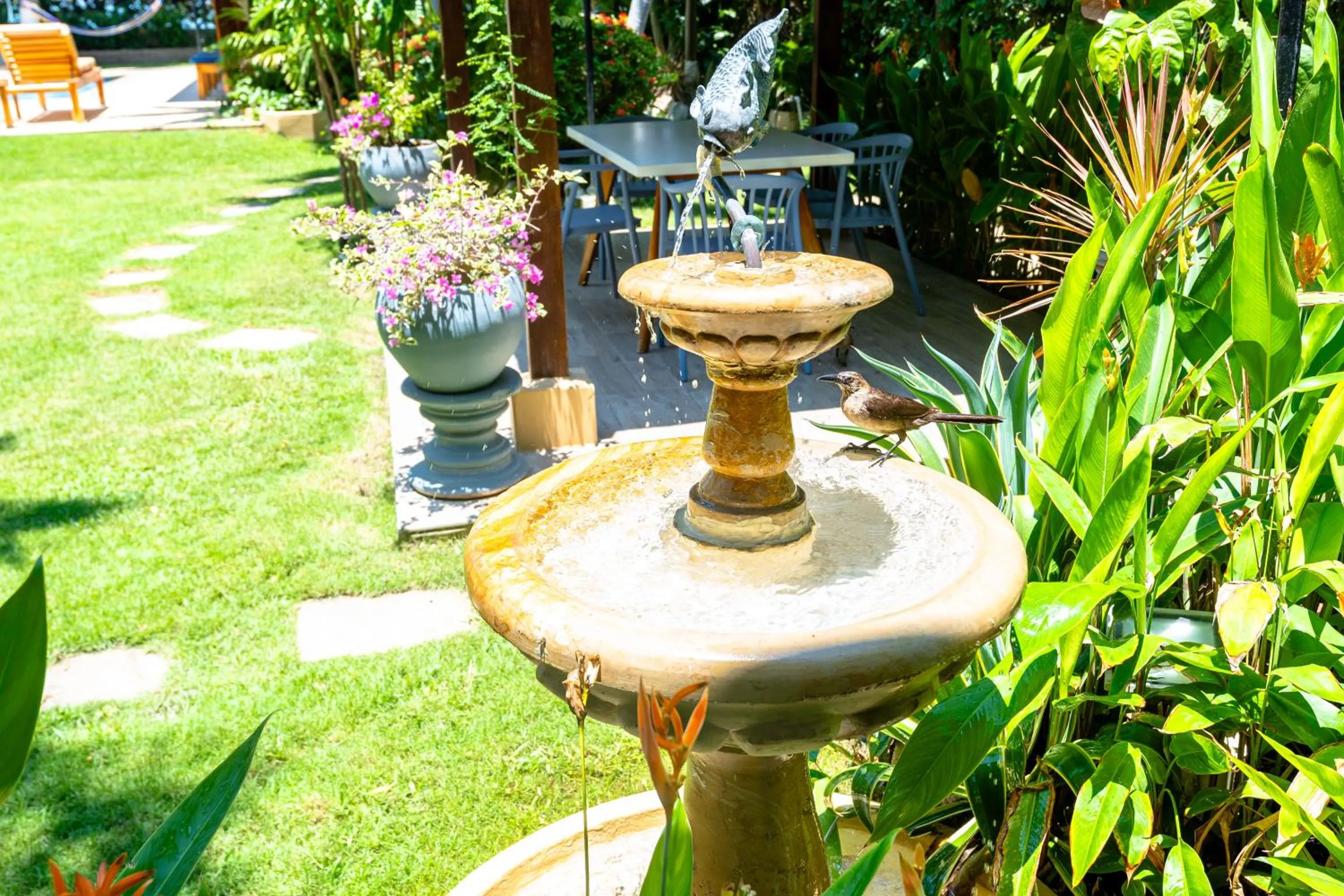 Garden in Casa Verano Beach Hotel - Adults Only