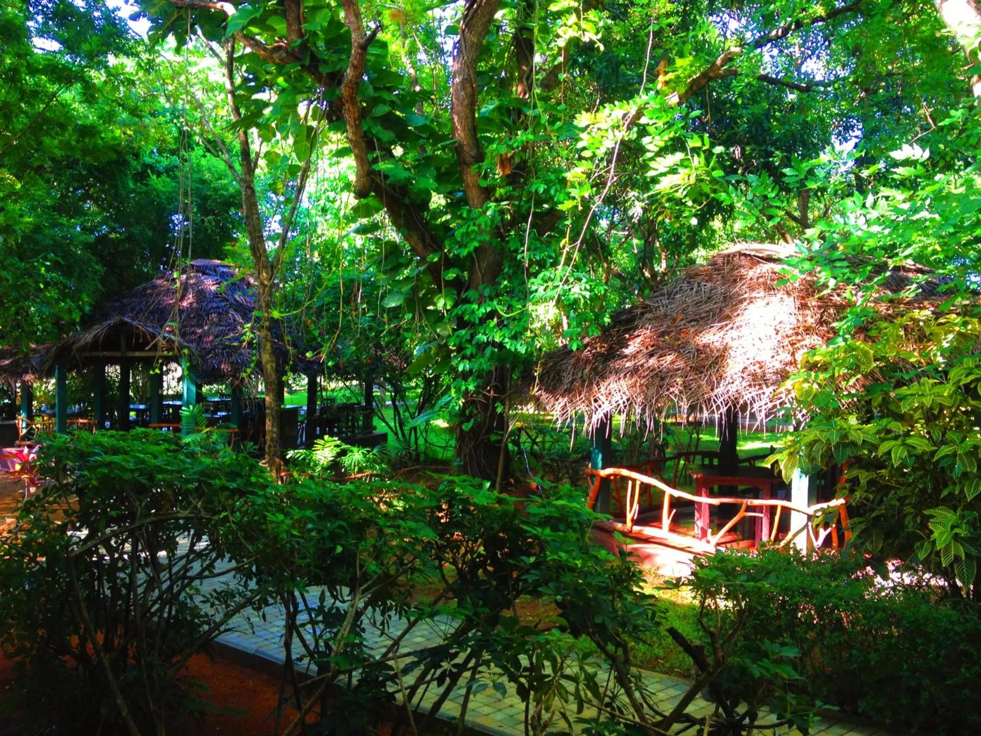 Day in Pelwehera Village Resort