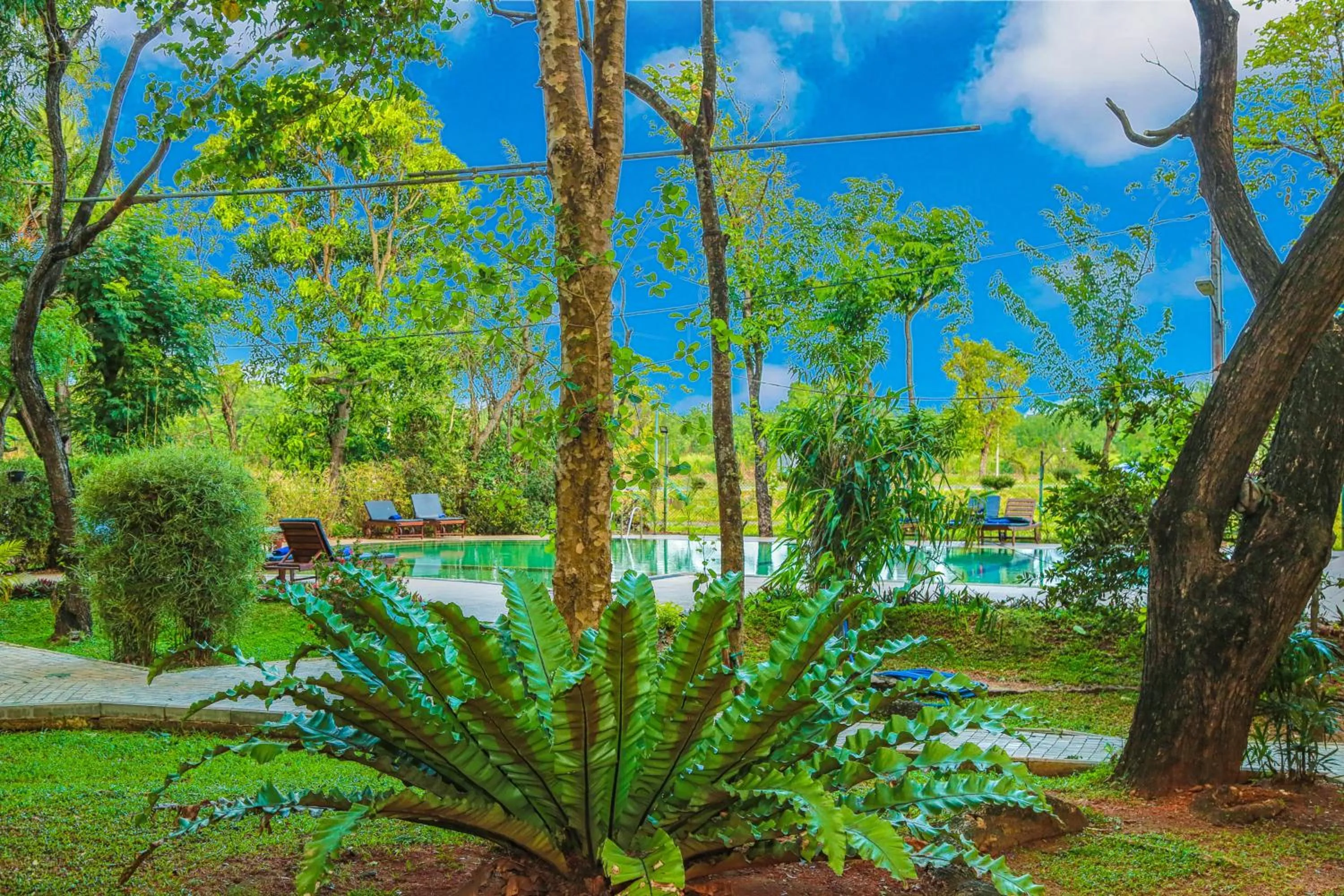 Garden view in Pelwehera Village Resort