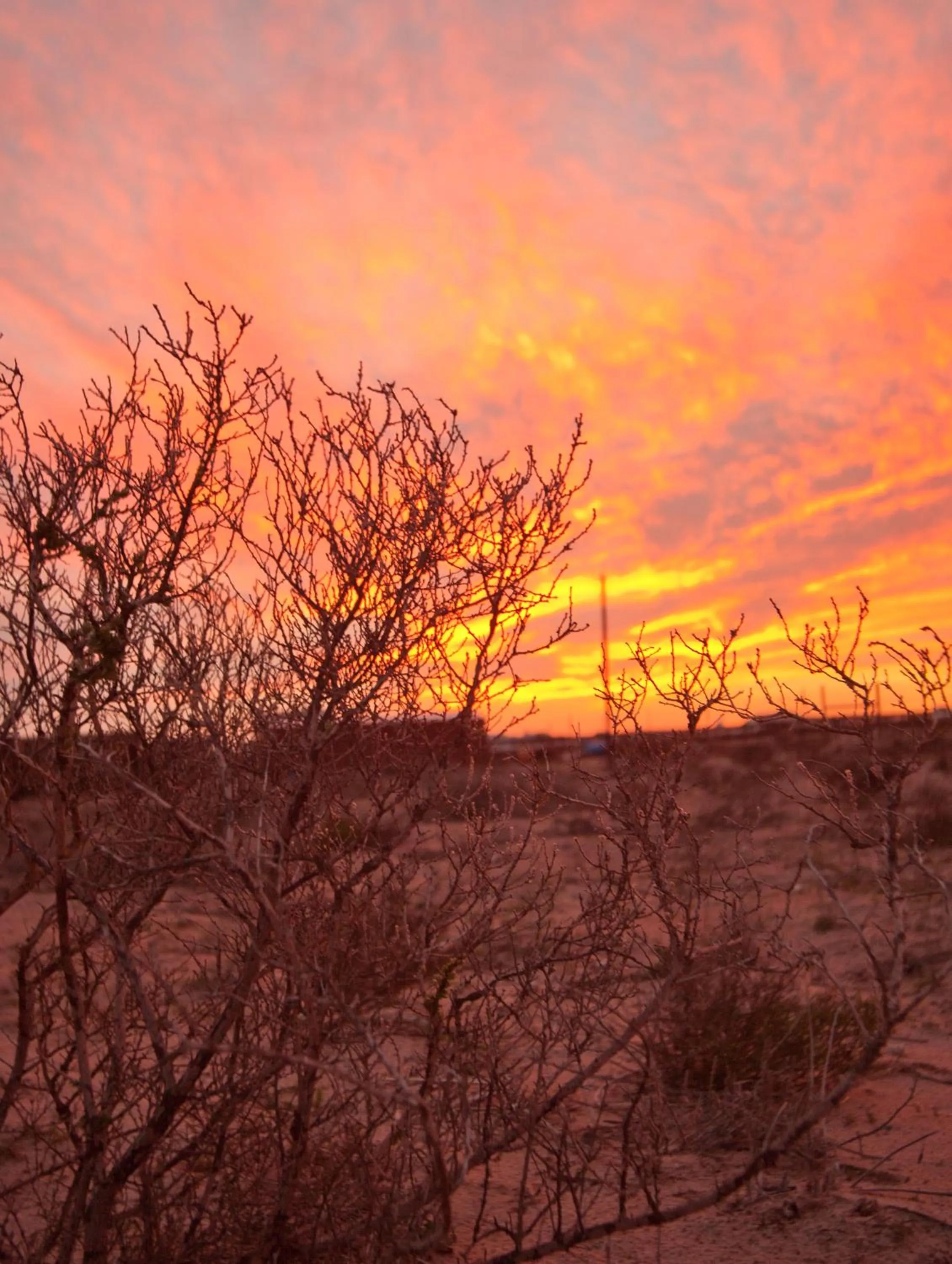 Sunset in Tortoise Trail Lodge