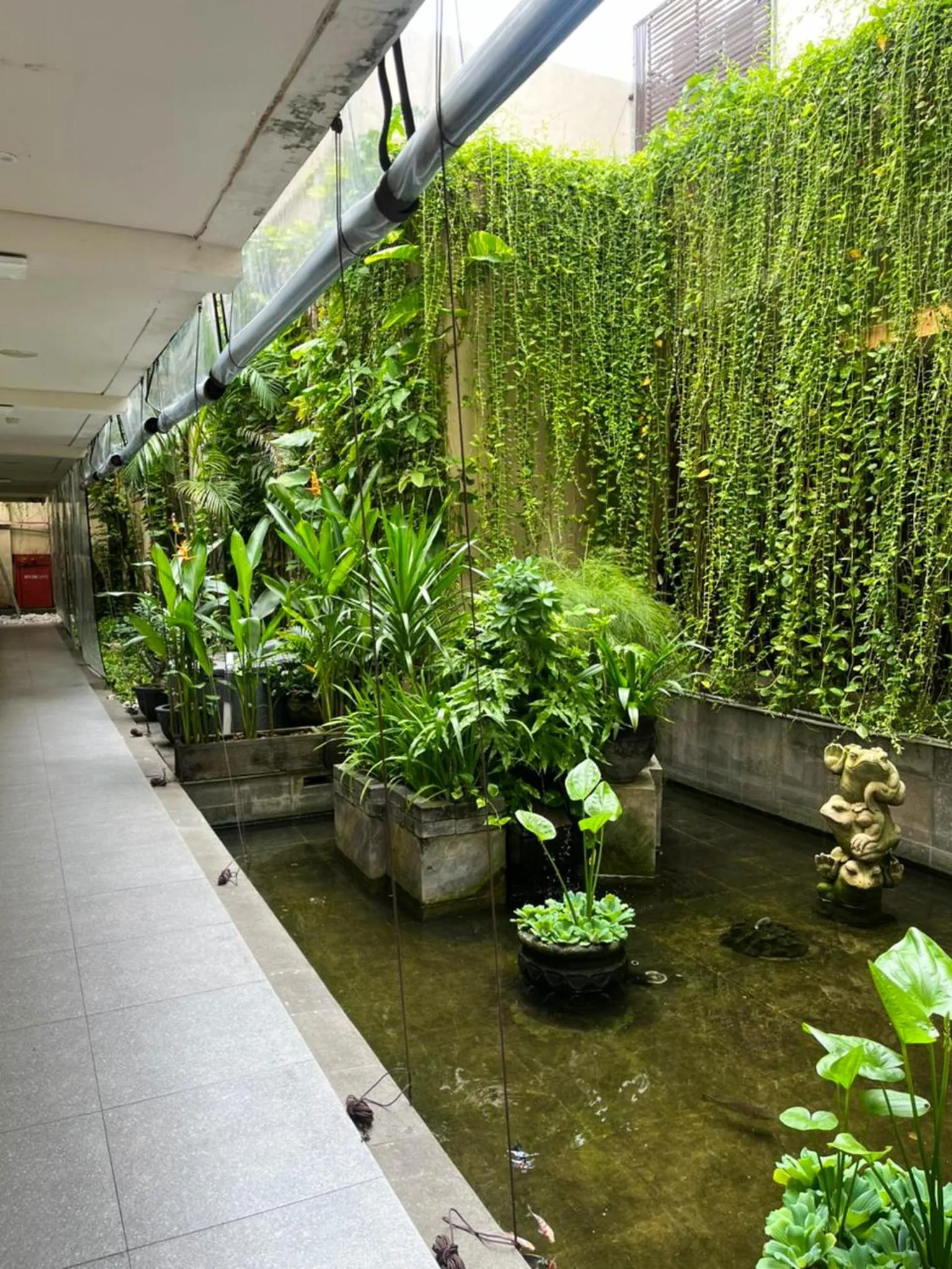 Garden view in Tusita Boutique Hotel