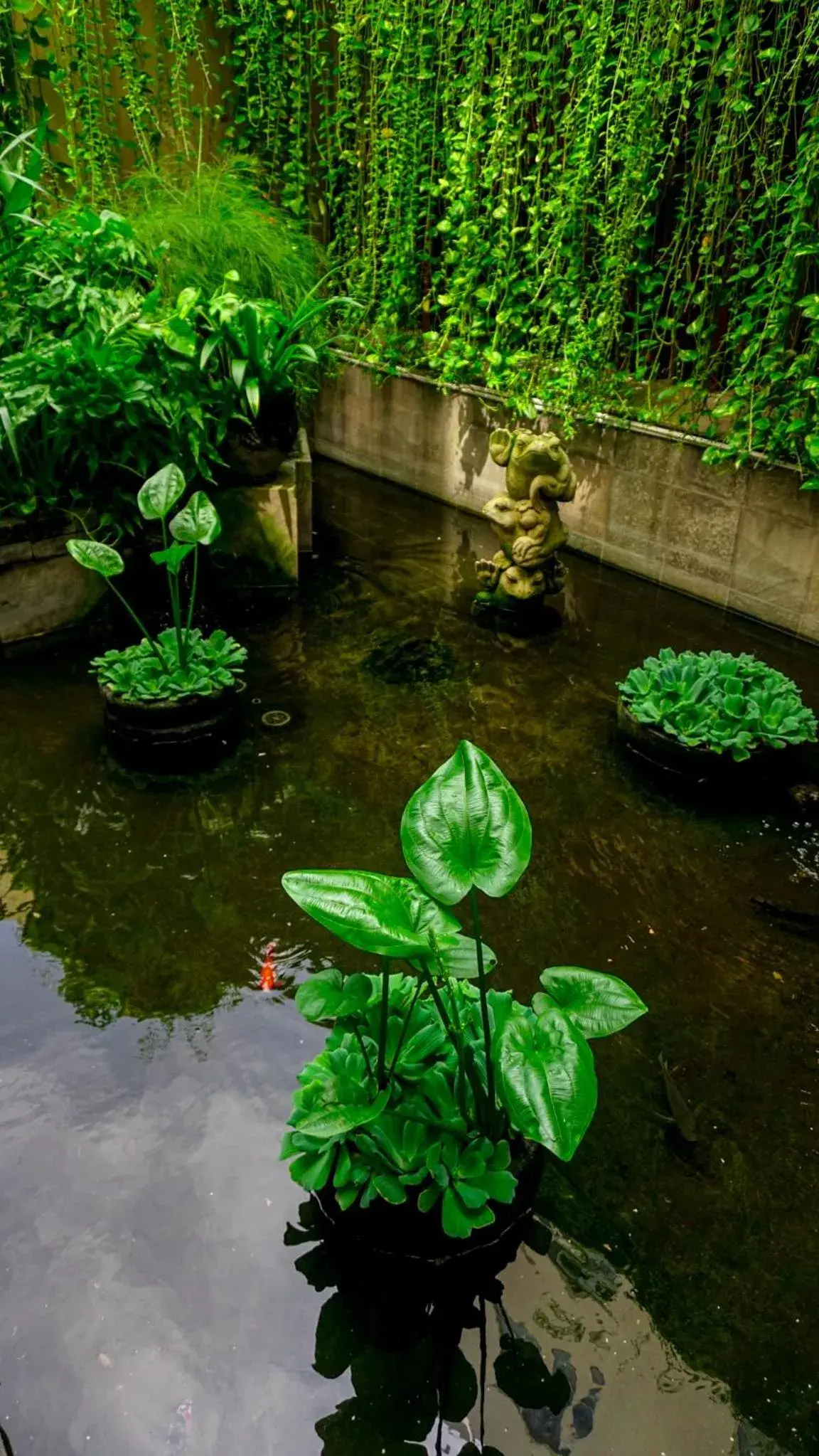 Garden view in Tusita Boutique Hotel Garden view in Tusita Boutique Hotel