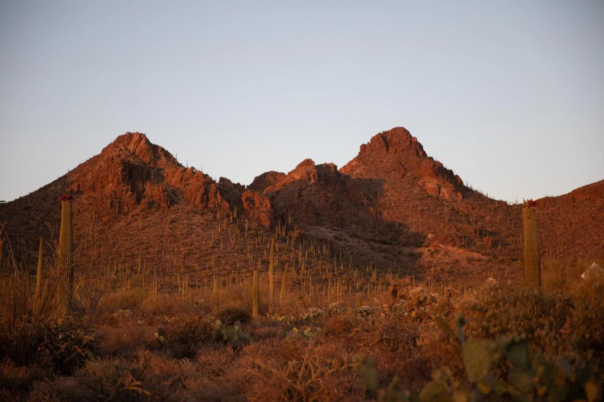 Nearby landmark in voco The Tuxon by IHG