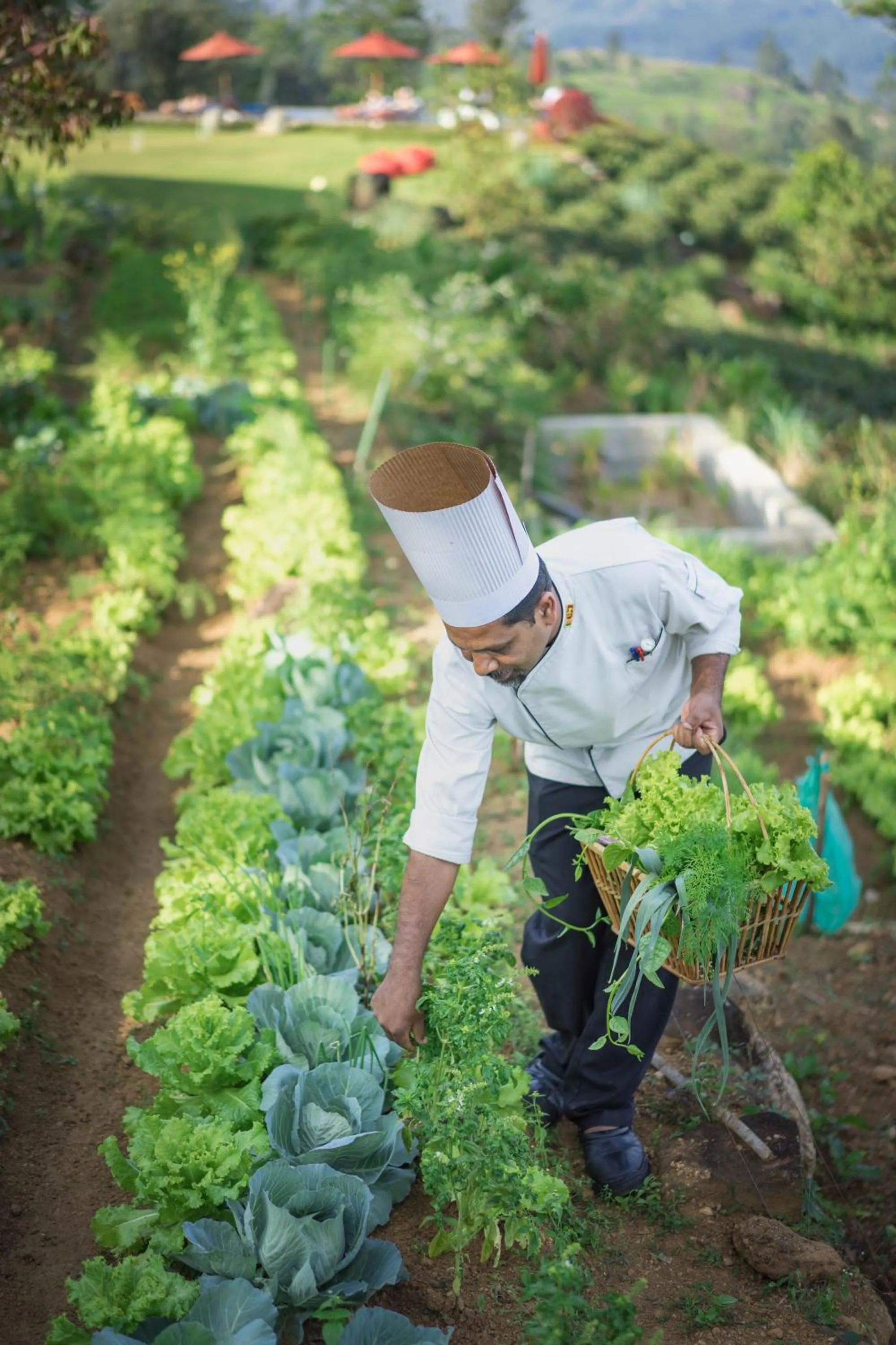 People in Madulkelle Tea and Eco Lodge