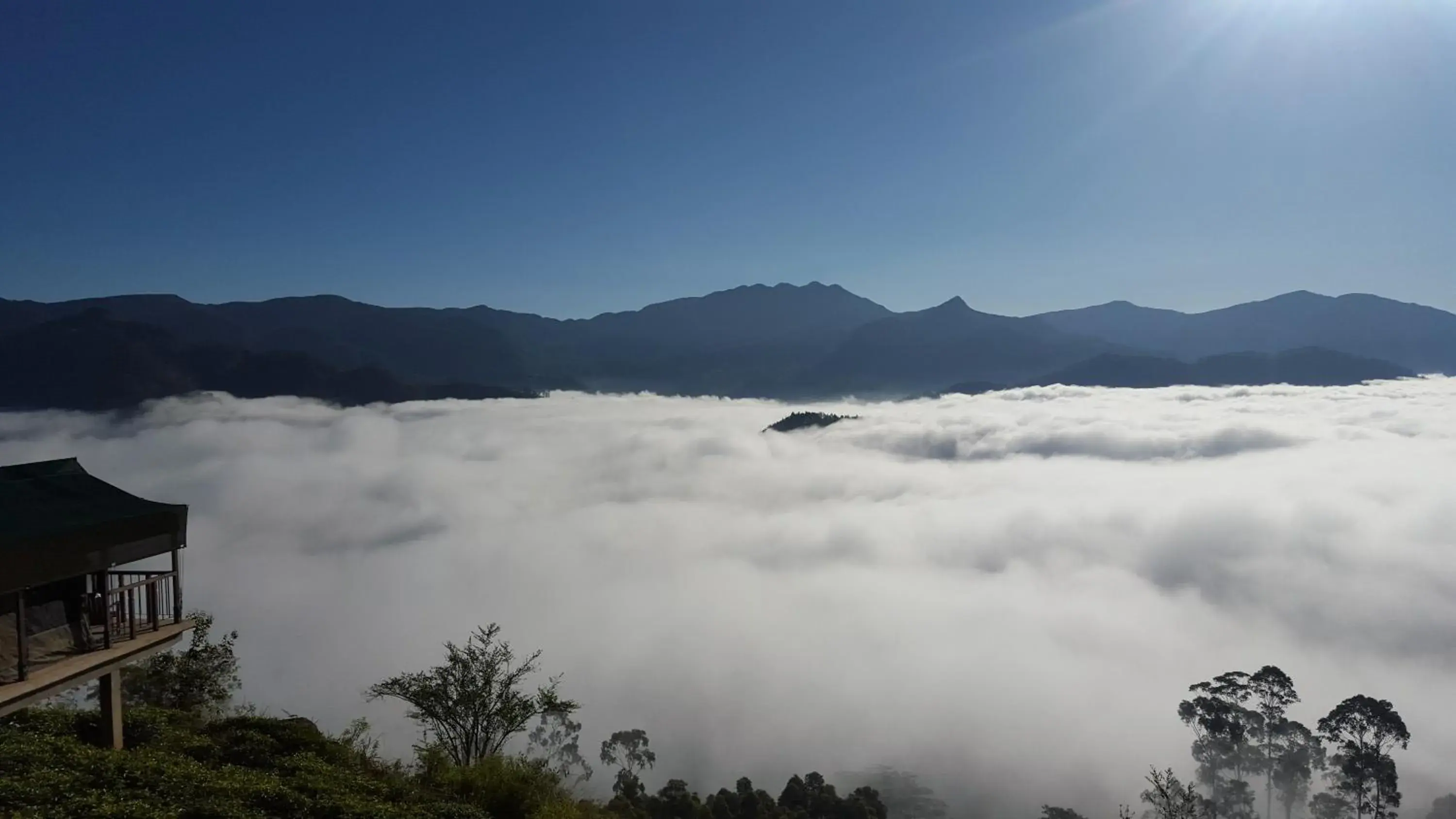 View (from property/room) in Madulkelle Tea and Eco Lodge View (from property/room) in Madulkelle Tea and Eco Lodge