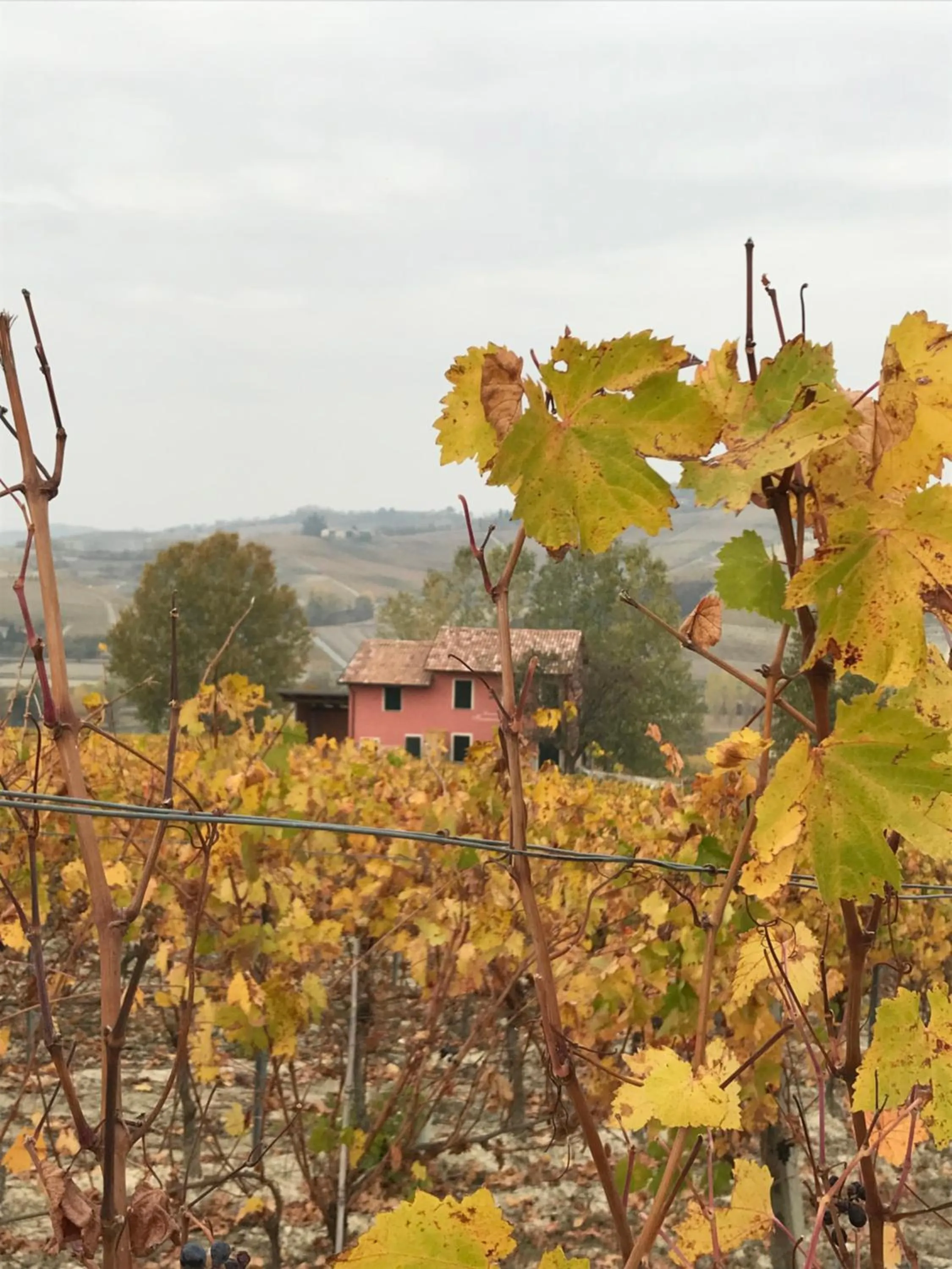 Neighbourhood in Viaggio della Vita B&B