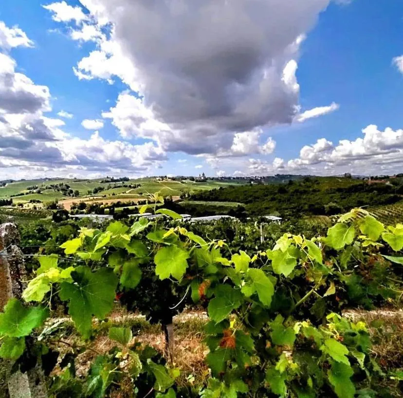 Neighbourhood in Viaggio della Vita B&B