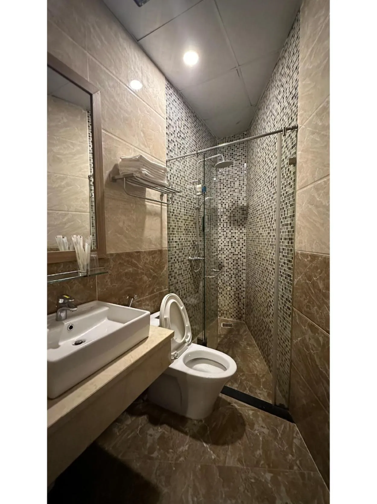 Toilet in Pinus Hotel