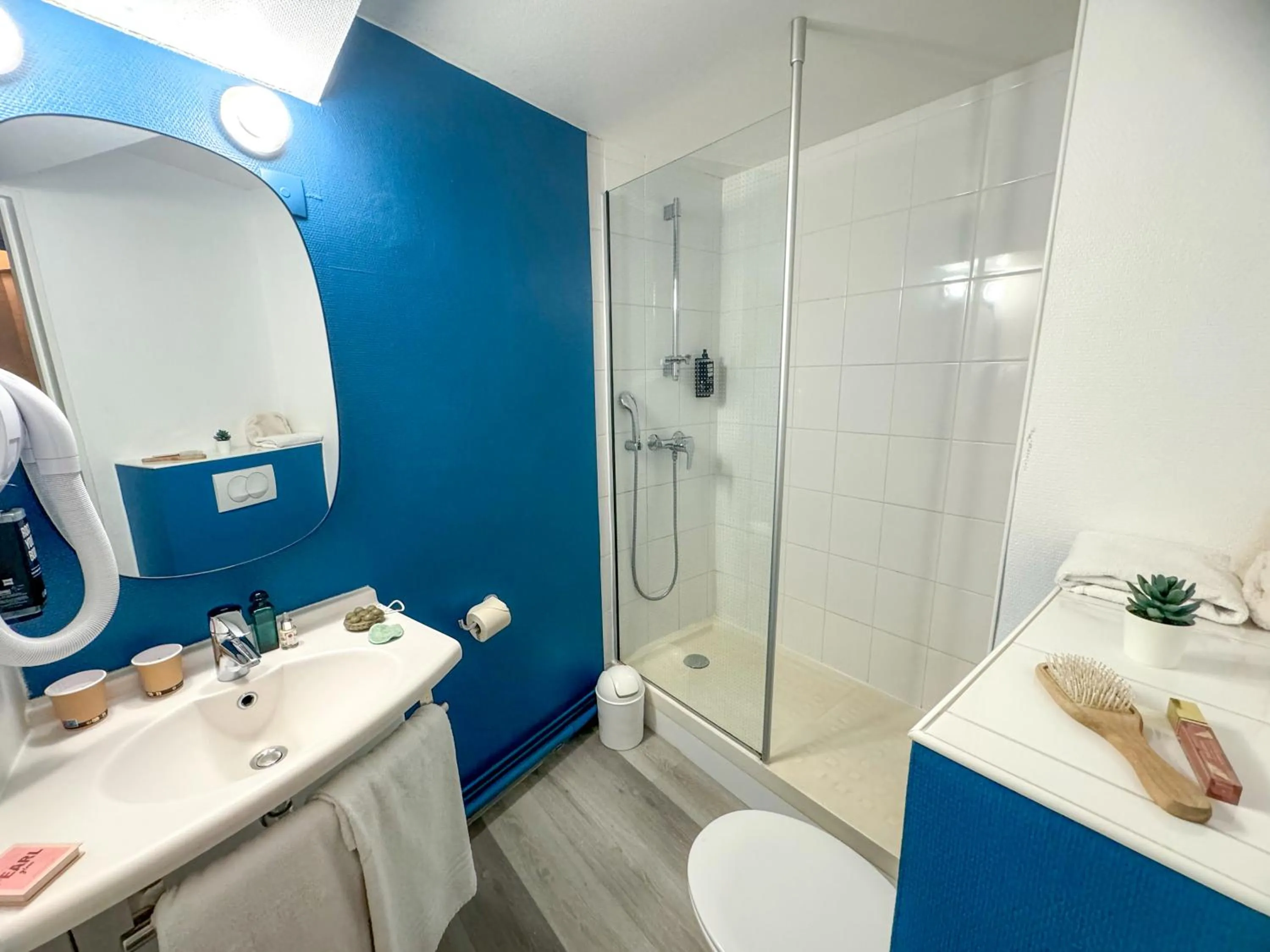 Shower in ibis Douai Centre